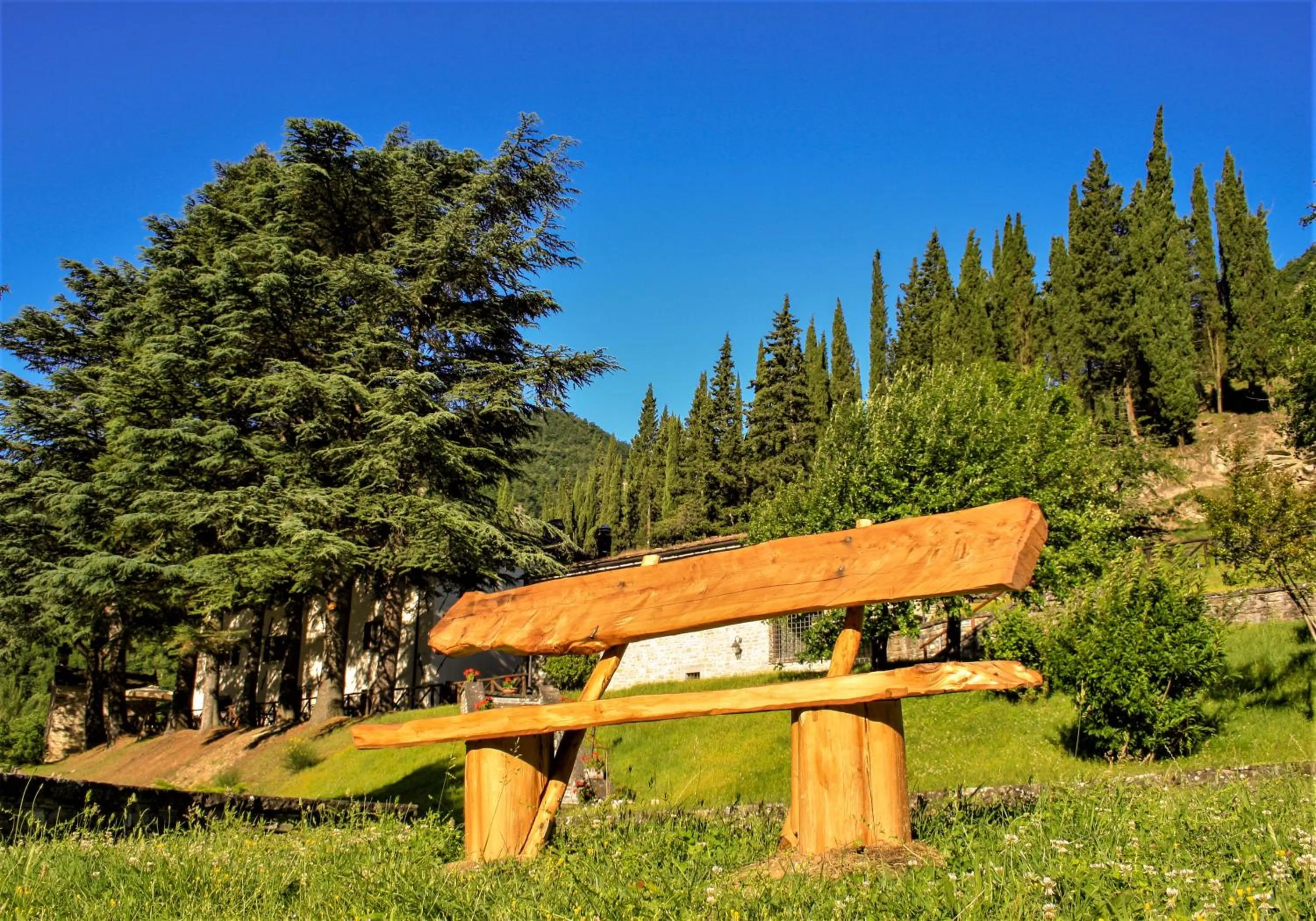 Garden in Il Palazzo Ridracoli