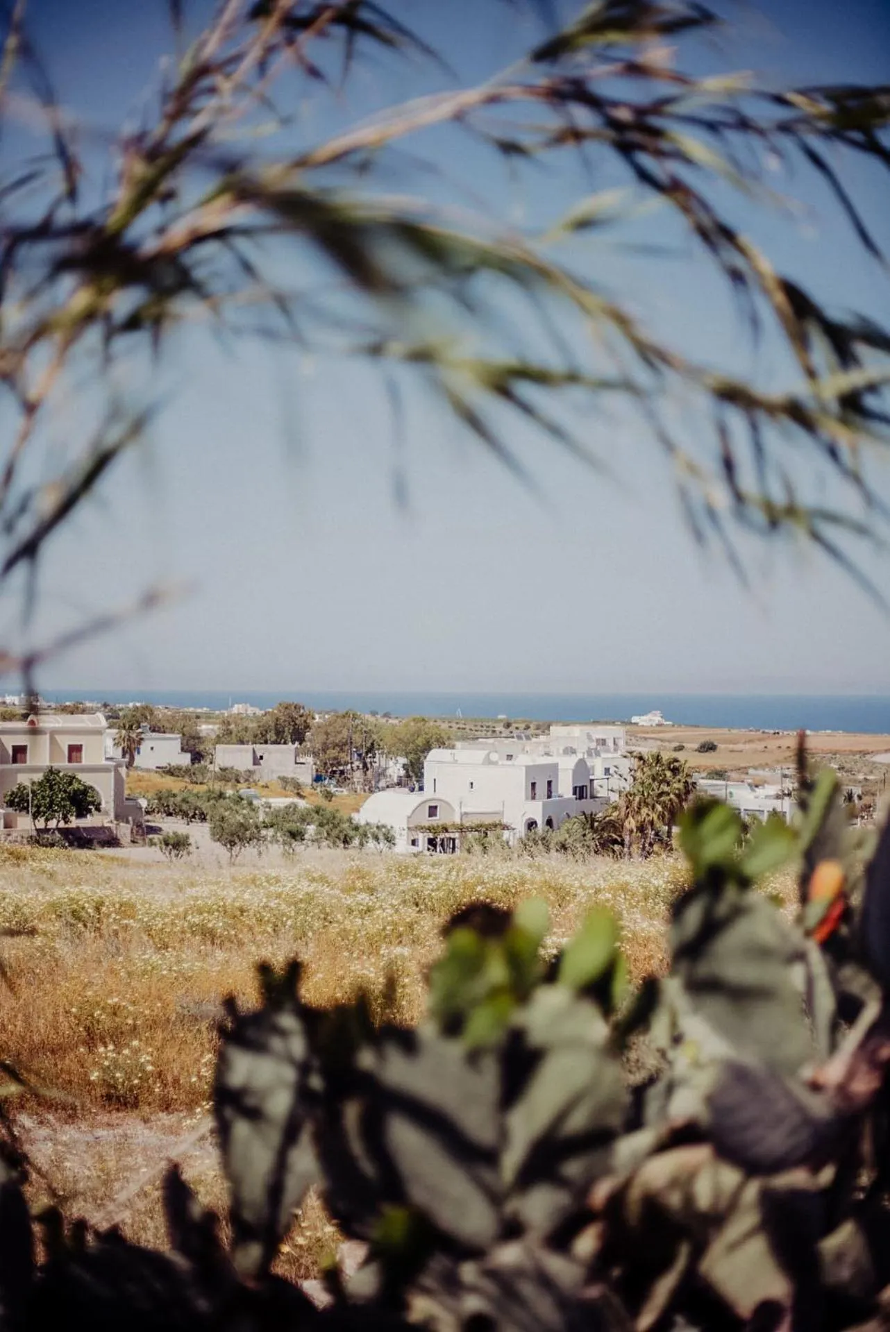 Natural landscape in Pueblo Viejo Suites