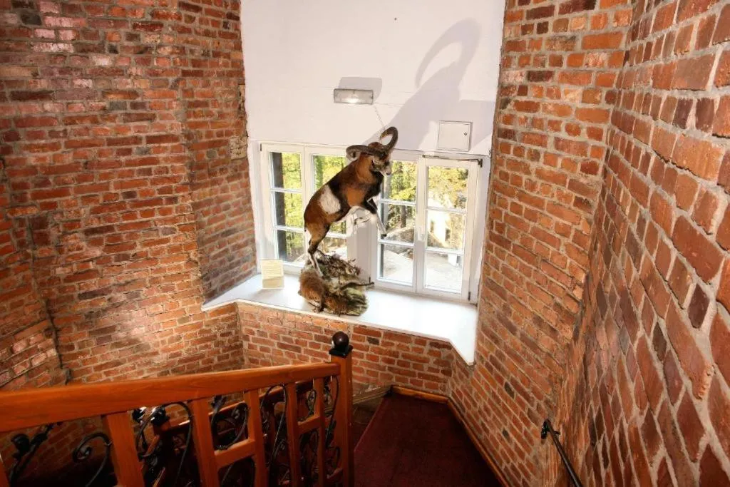 Lobby or reception in Hotel Przy Oślej Bramie - Zamek Książ