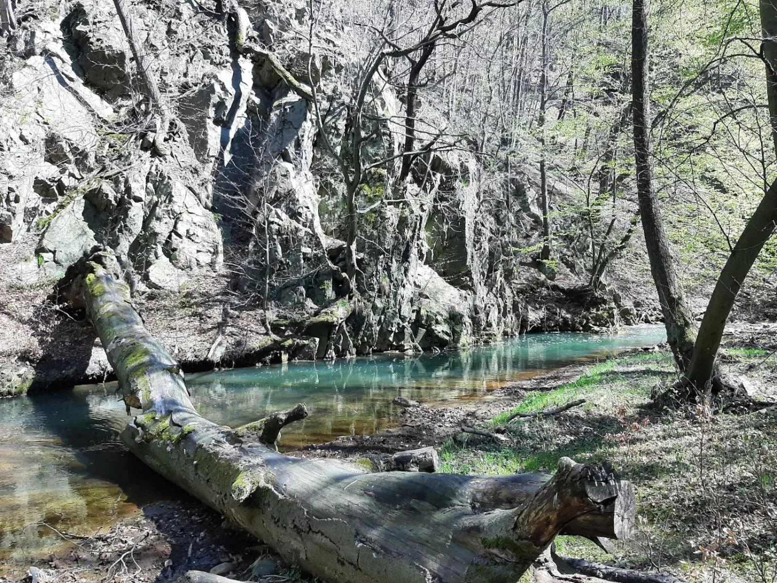 Hiking in Hotel Przy Oślej Bramie - Zamek Książ