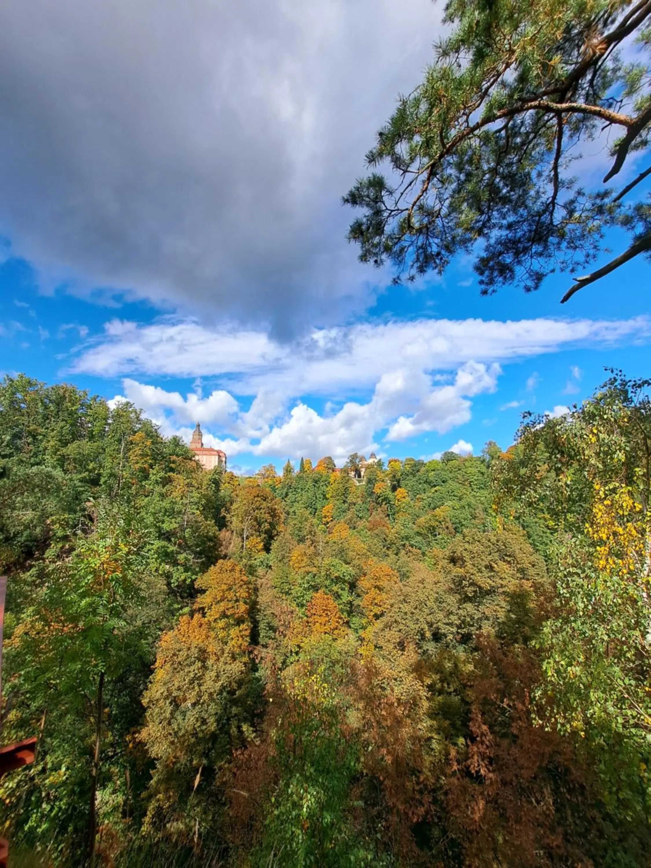 Cycling in Hotel Przy Oślej Bramie - Zamek Książ