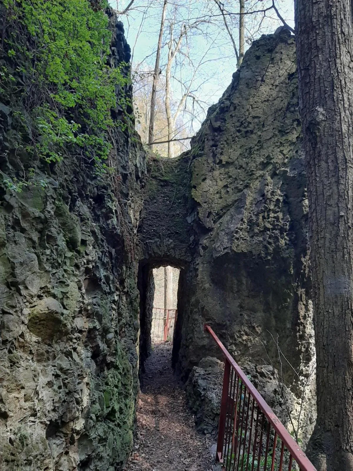 Hiking in Hotel Przy Oślej Bramie - Zamek Książ