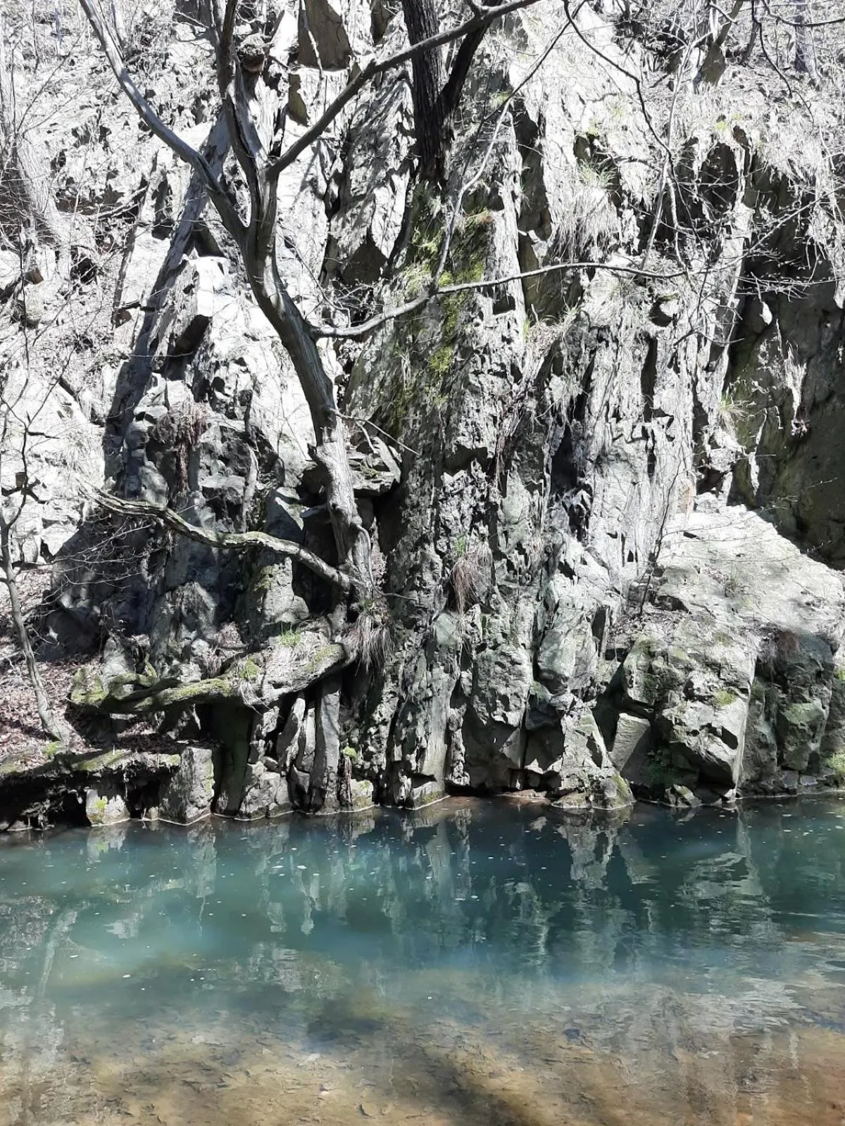 Hiking in Hotel Przy Oślej Bramie - Zamek Książ