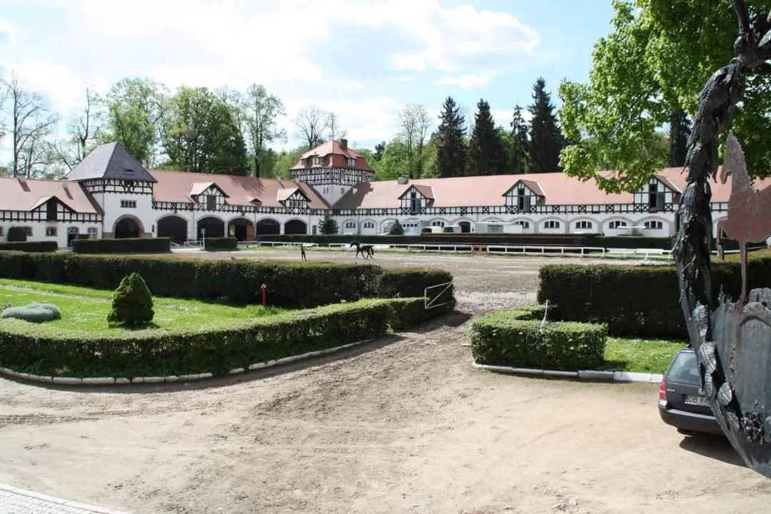 Horse-riding in Hotel Przy Oślej Bramie - Zamek Książ