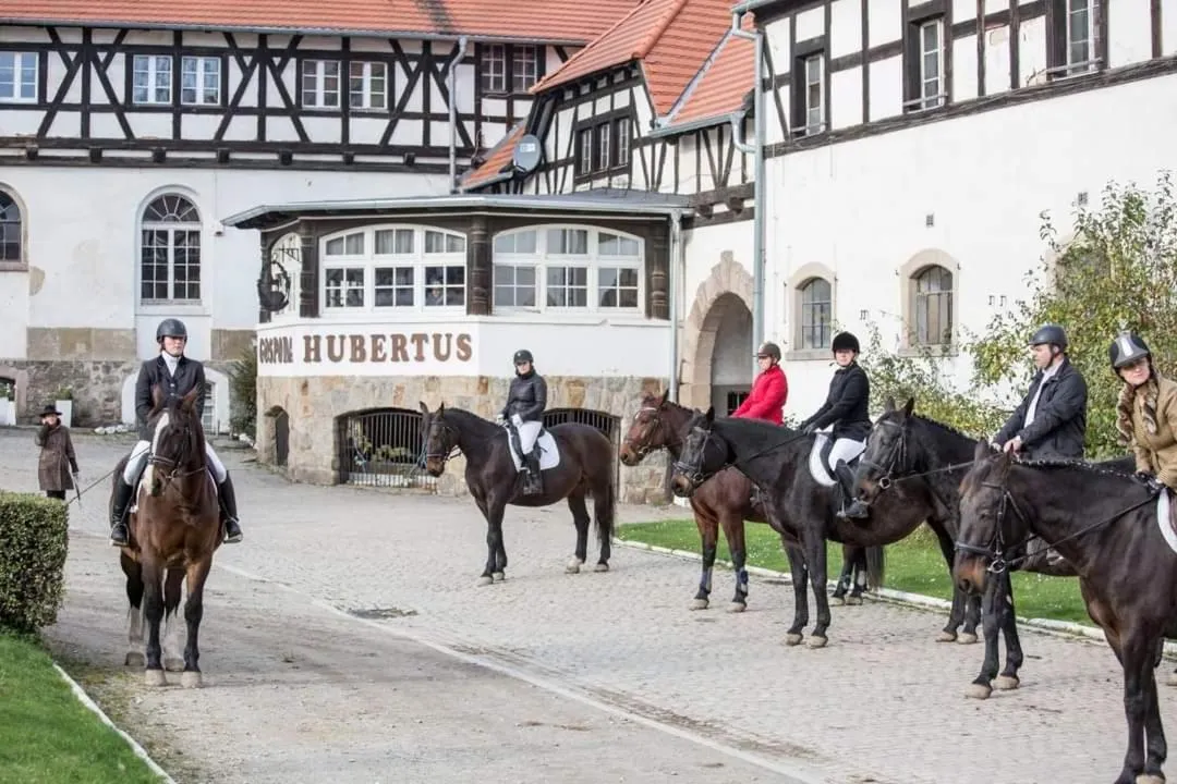 Horse-riding in Hotel Przy Oślej Bramie - Zamek Książ