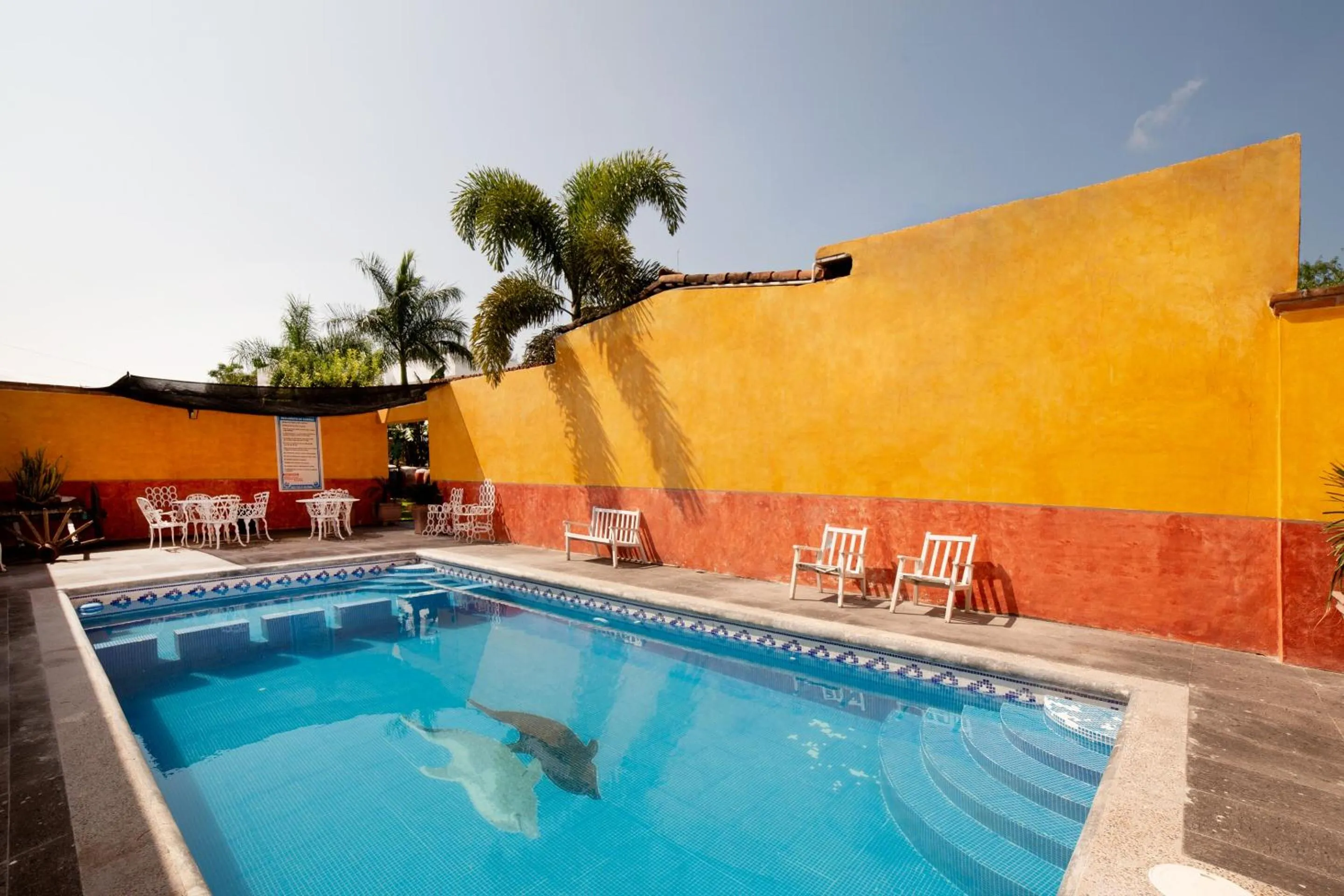 Swimming pool in Hotel Villas De San Miguel Media Luna