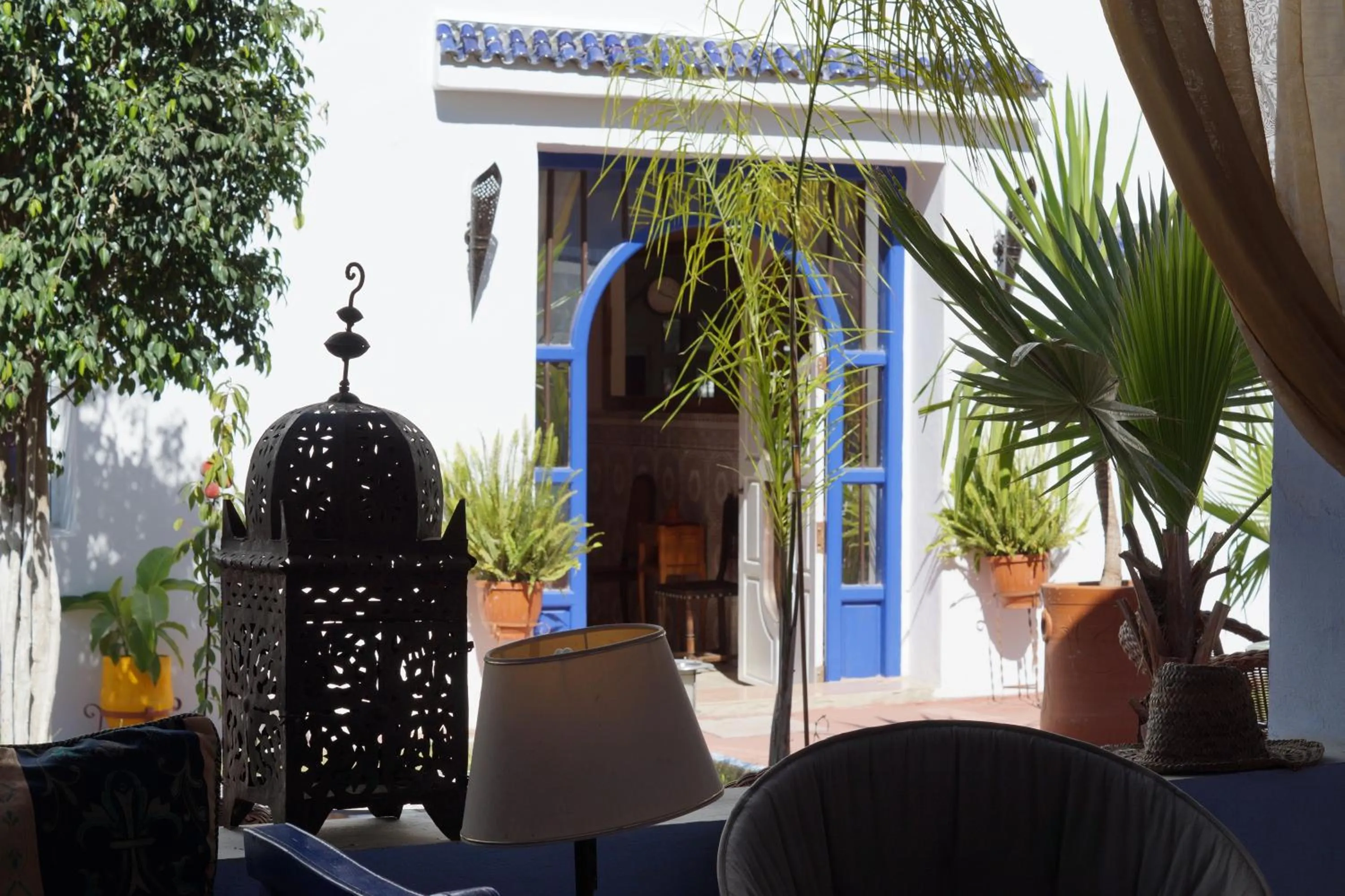 Garden in Dar Omar Khayam