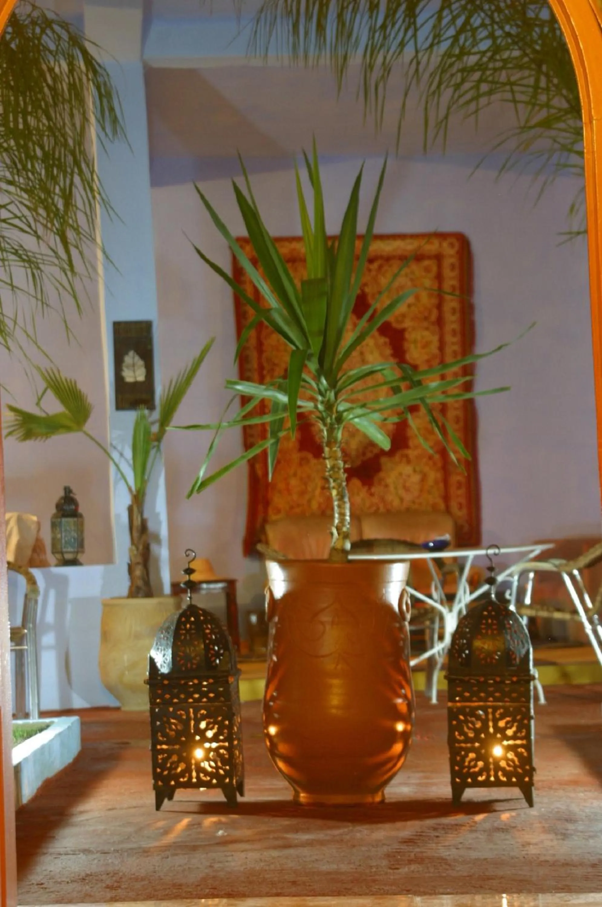 Garden in Dar Omar Khayam