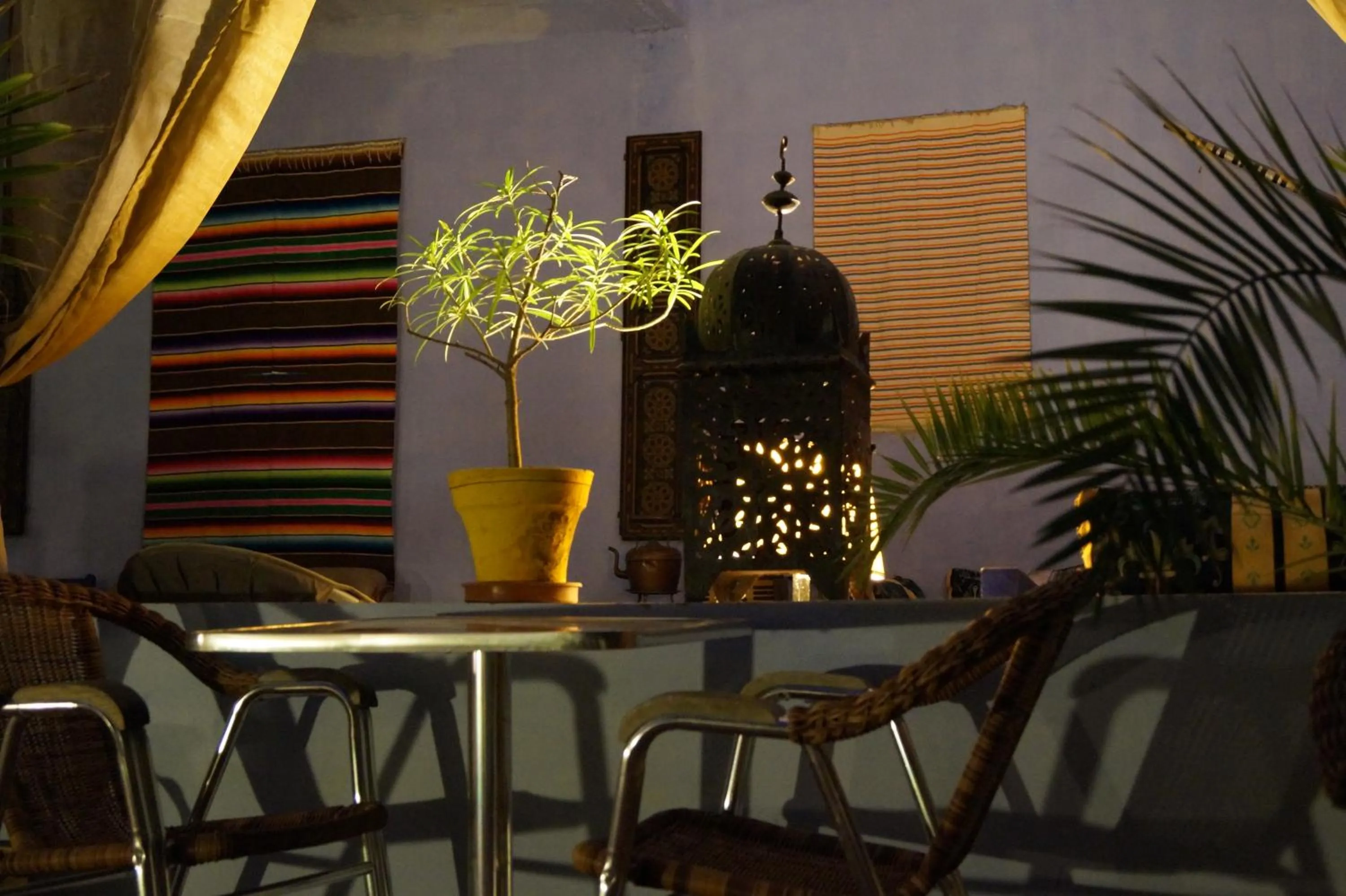 Garden in Dar Omar Khayam