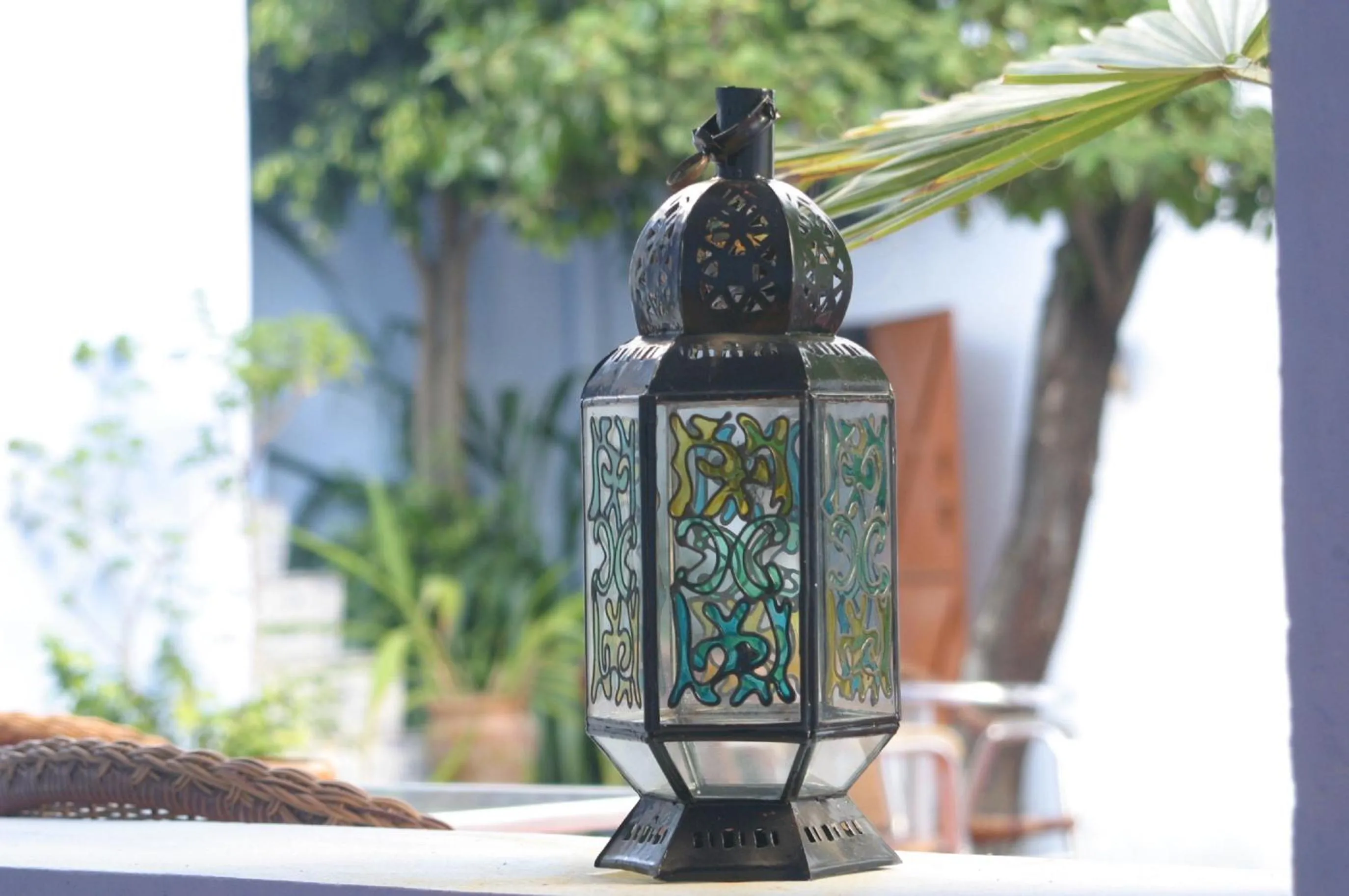 Garden in Dar Omar Khayam