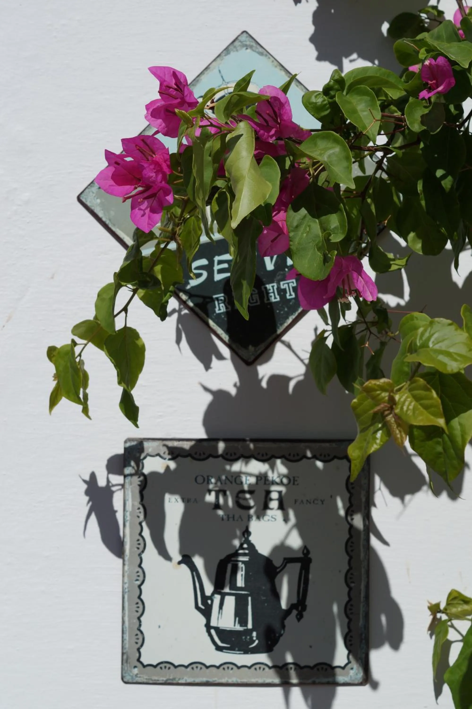 Garden in Dar Omar Khayam