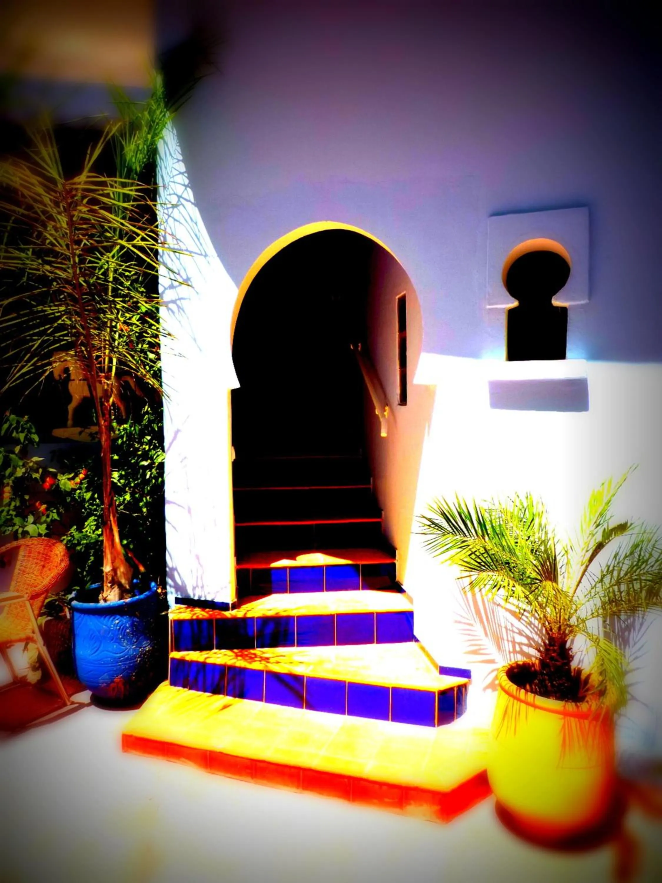 Garden in Dar Omar Khayam