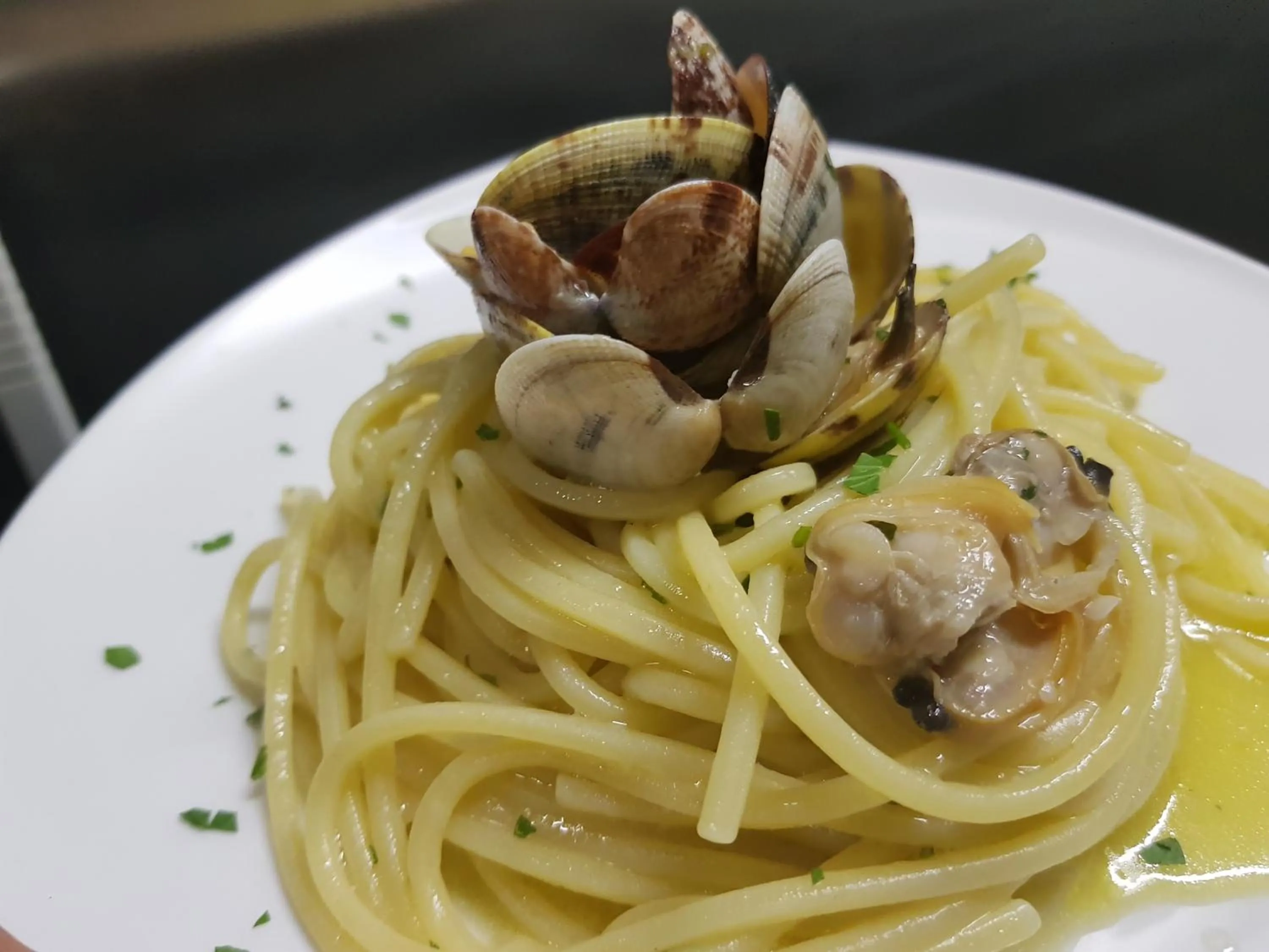 Restaurant/places to eat in B&B FISH