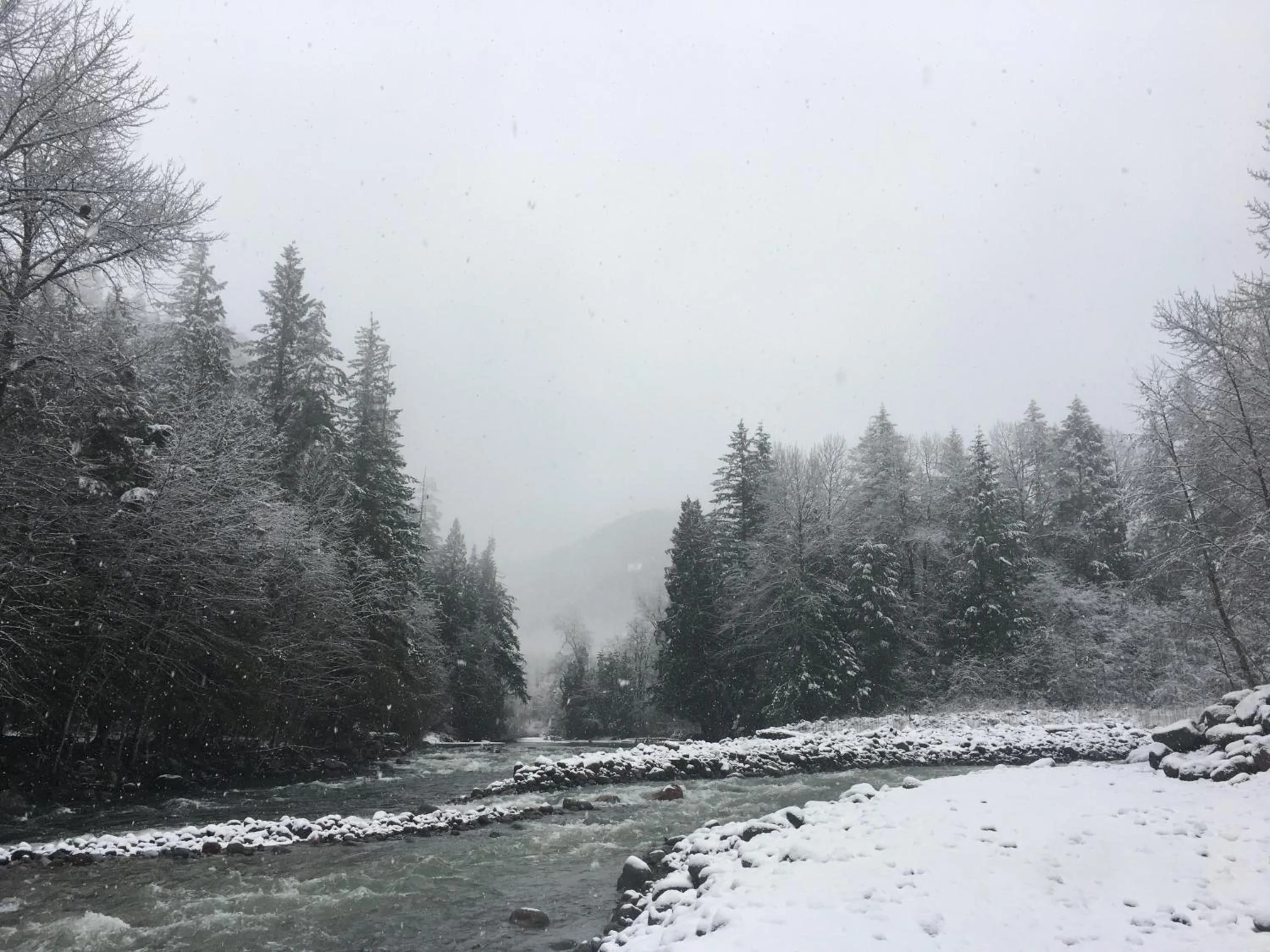 Natural landscape in Sunwolf Riverside Cabins