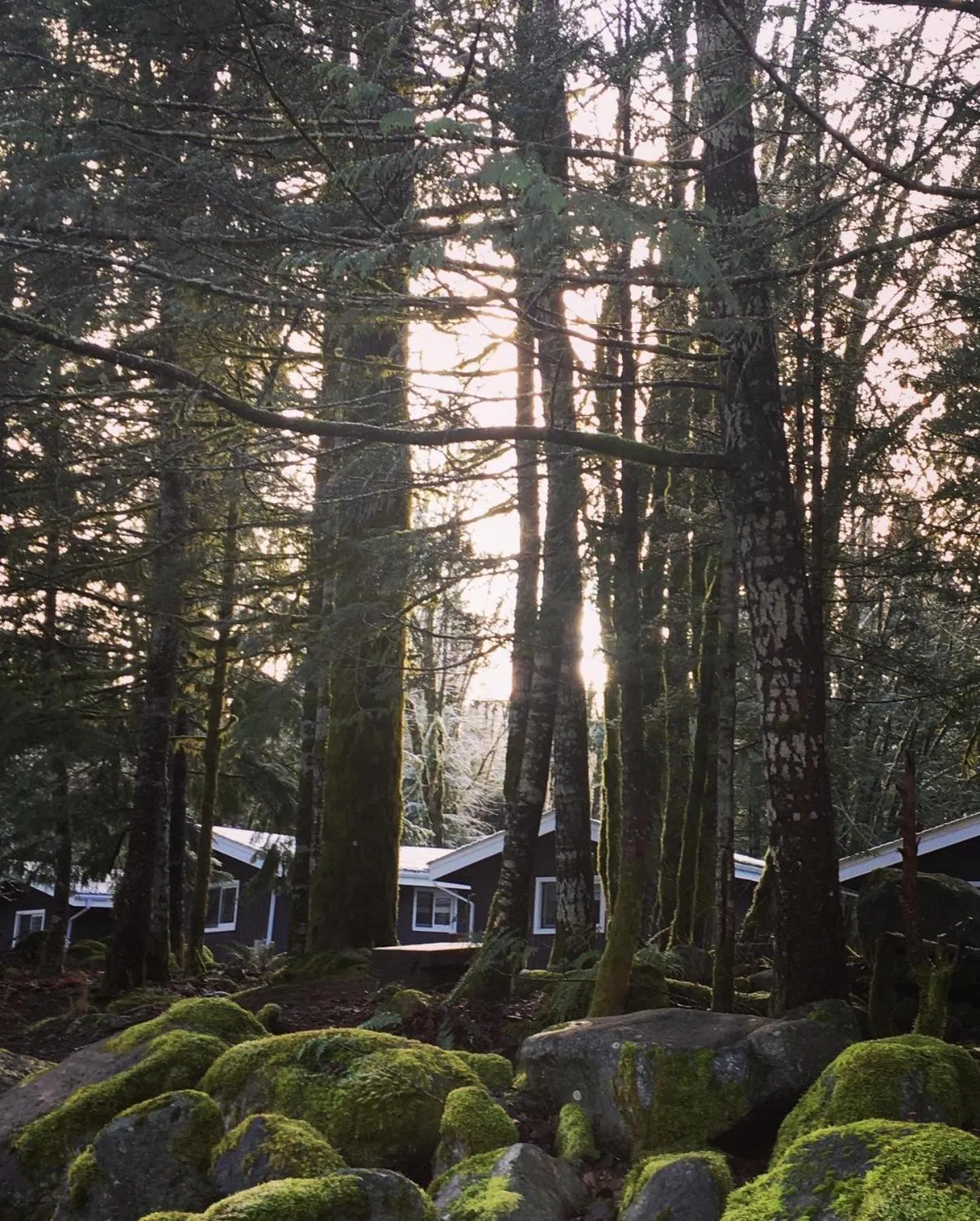 Natural landscape in Sunwolf Riverside Cabins