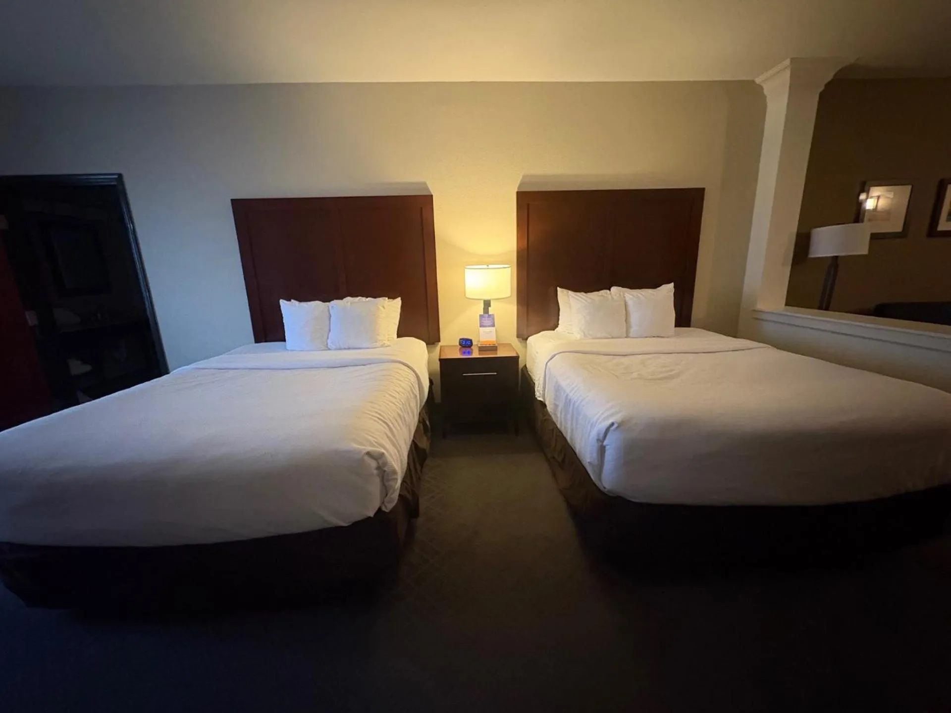 Bed in Comfort Suites Near Denver Downtown