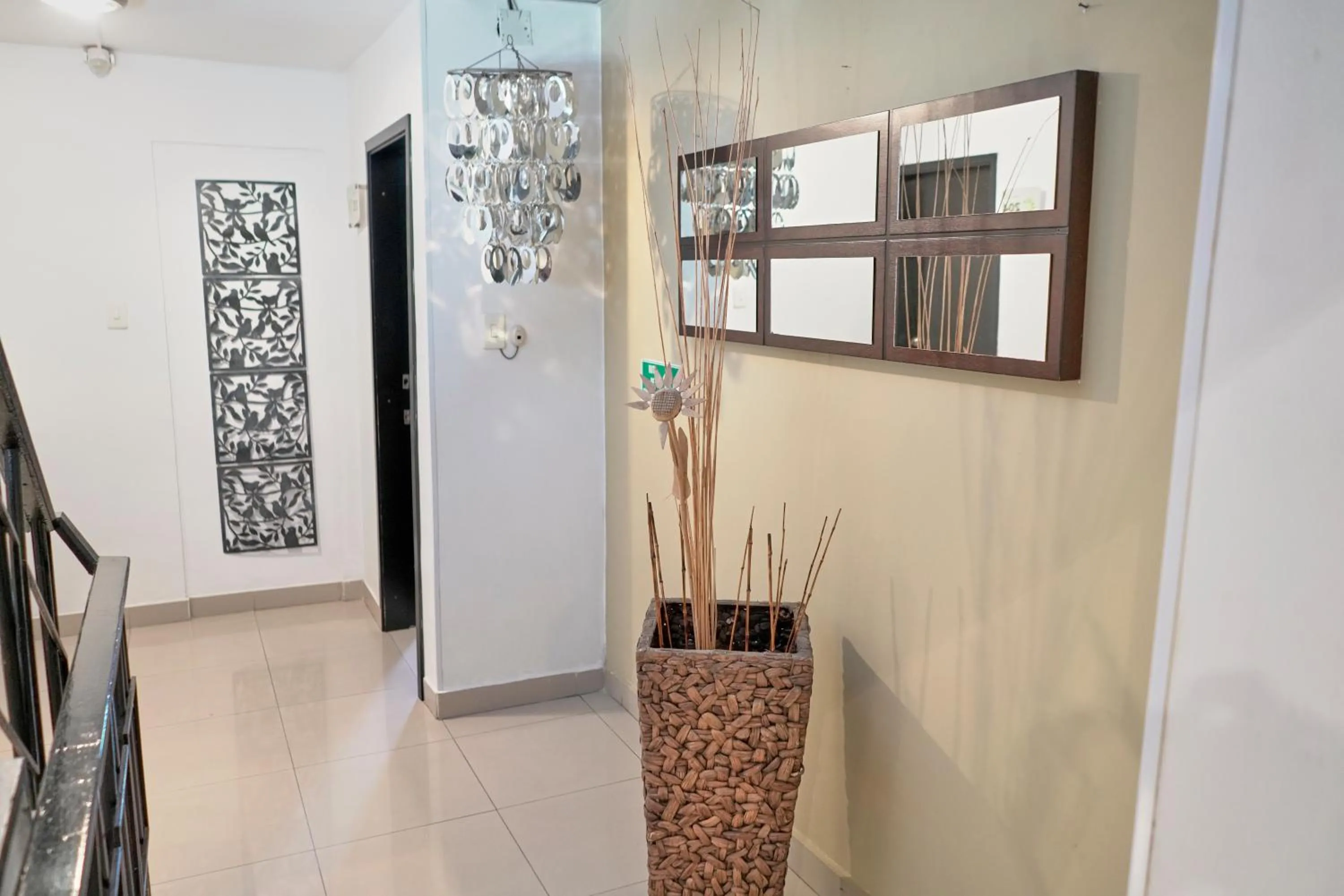 Area and facilities in Hotel Volare