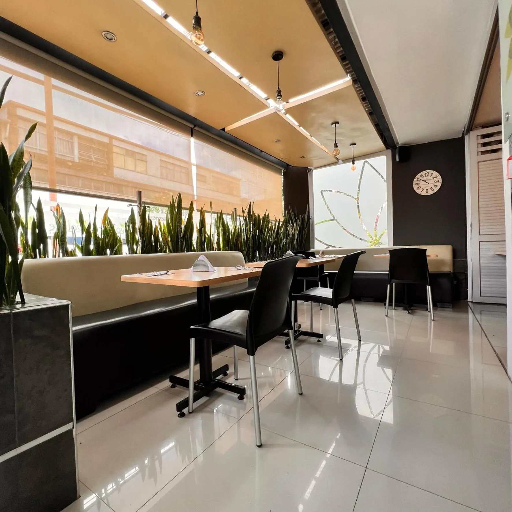 Restaurant/places to eat in Hotel Volare