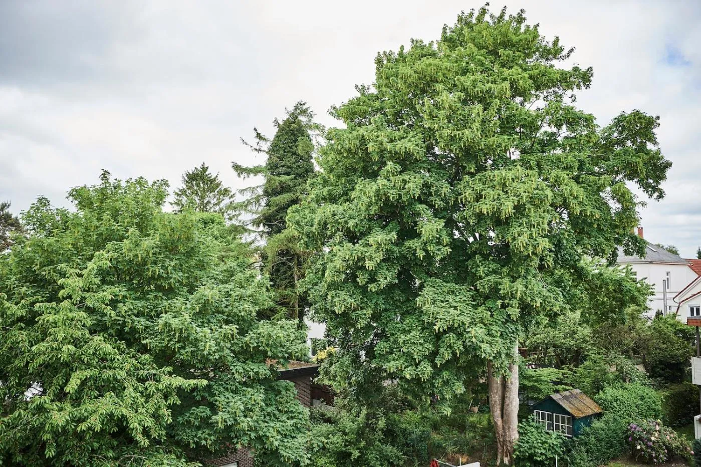 Boardinghome Oldenburg