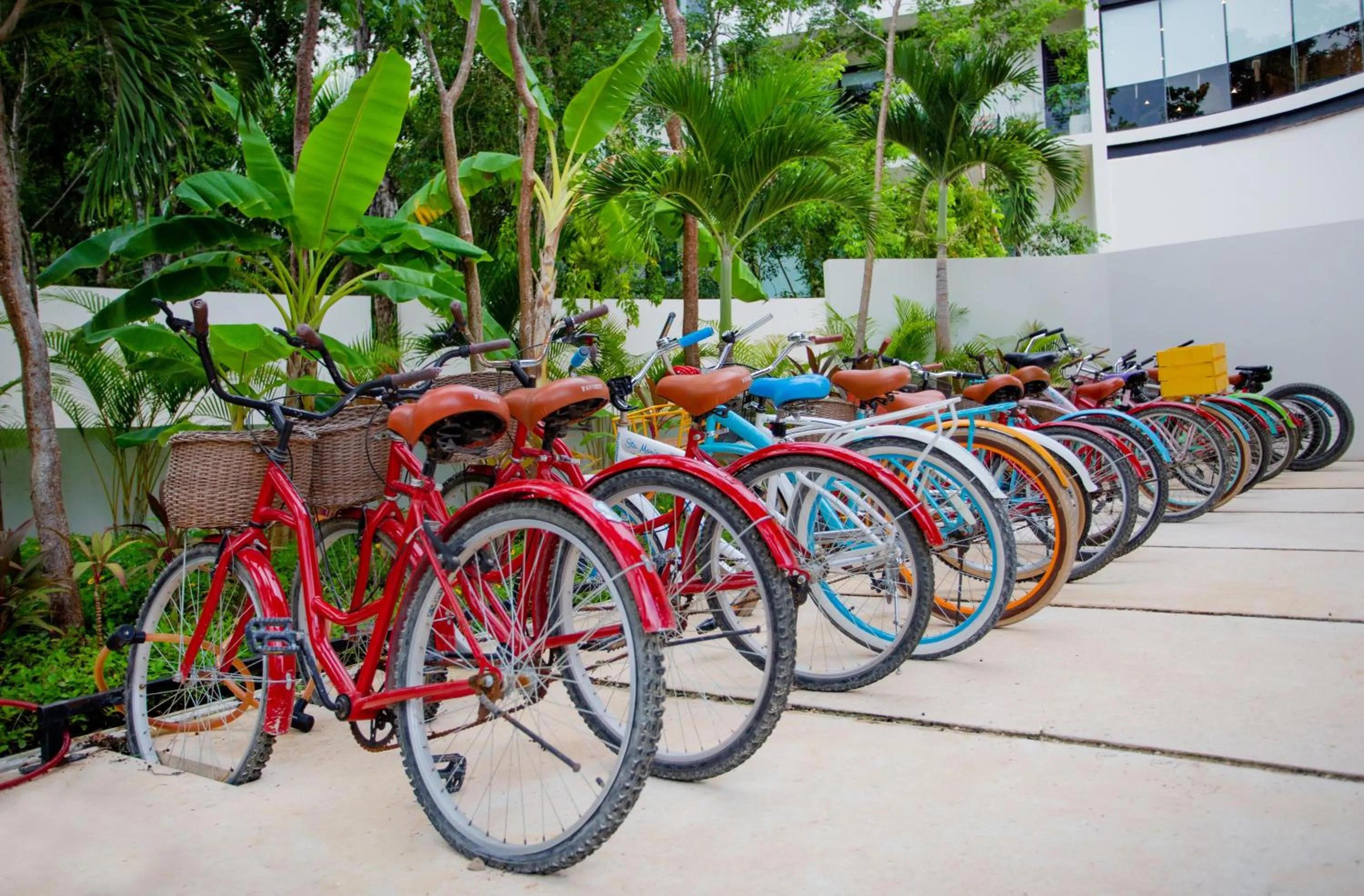 Activities in The Panoramic By Xperience Hotels