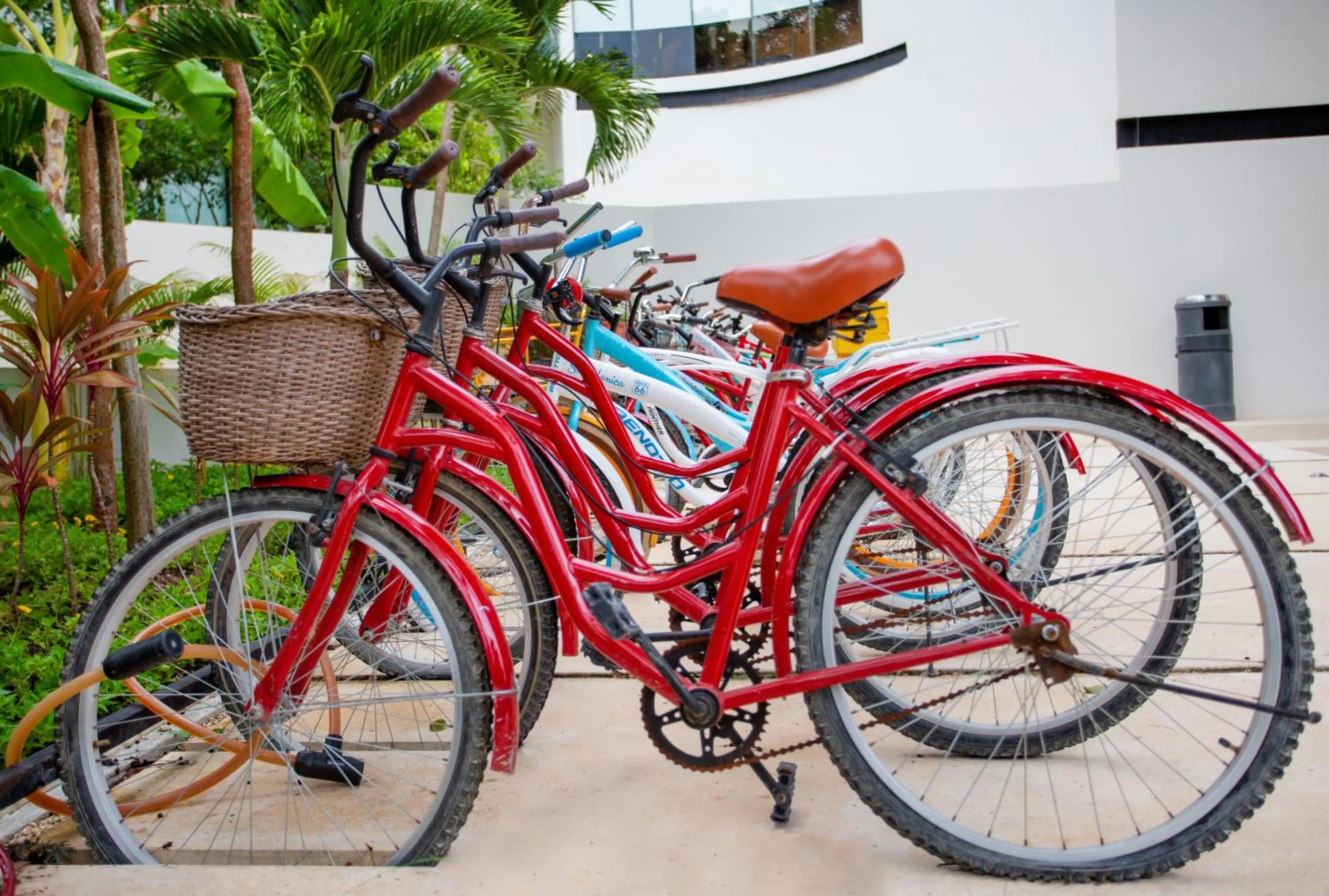 Activities in The Panoramic By Xperience Hotels