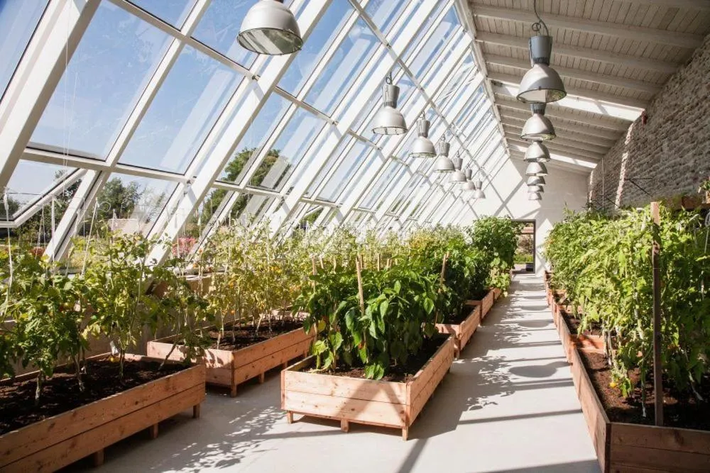 Day in Vihula Manor Country Club & Spa