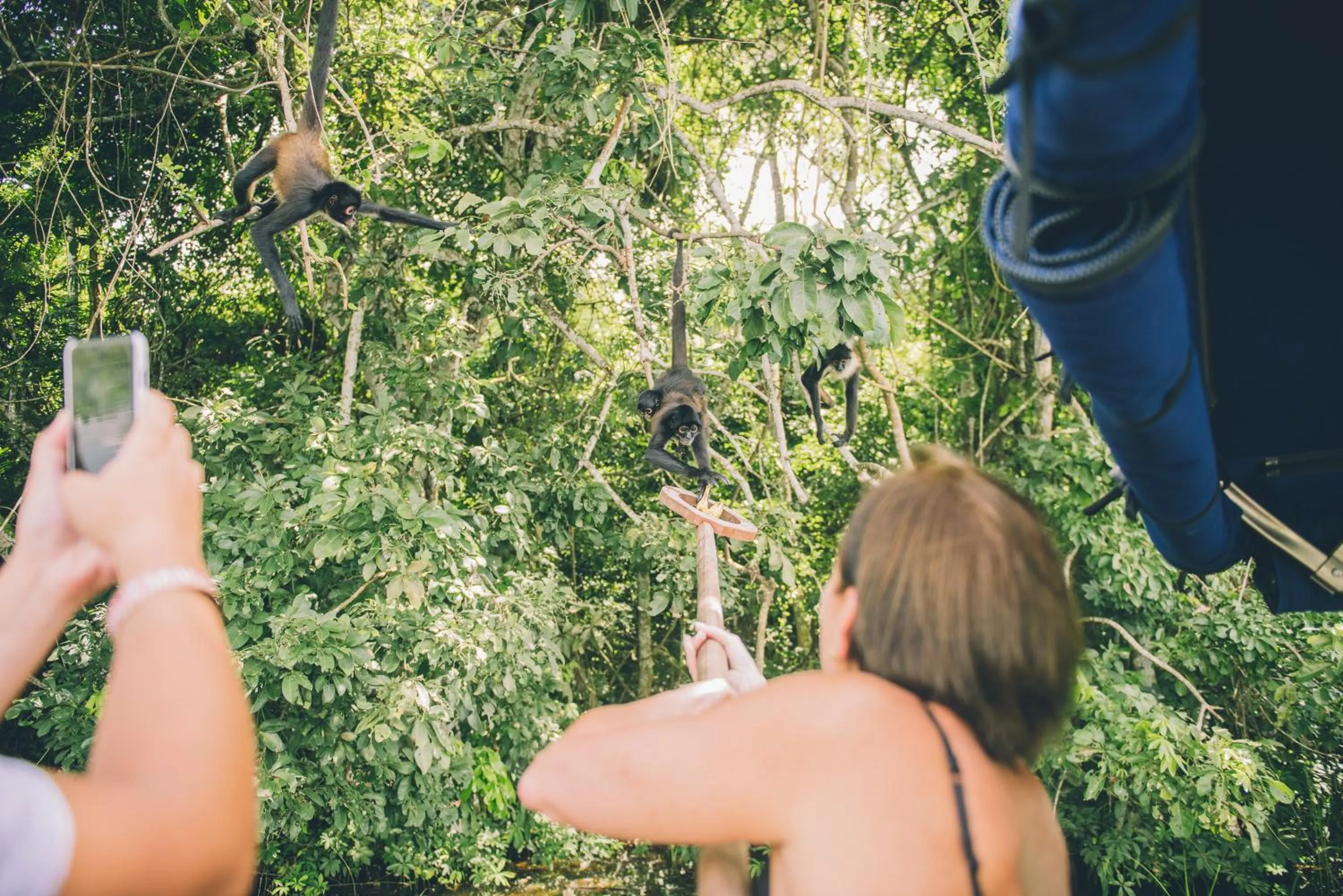 Animals in Las Lagunas Boutique Hotel