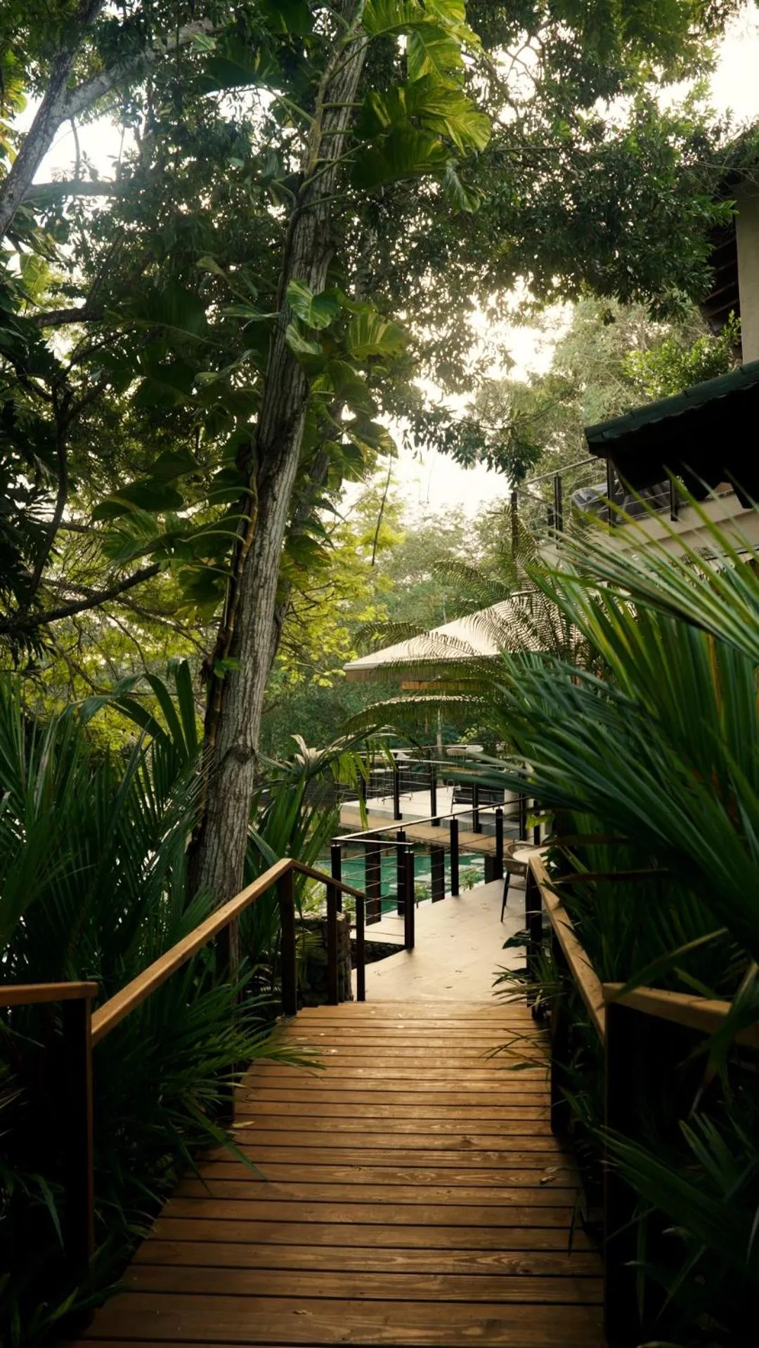 Garden in Las Lagunas Boutique Hotel