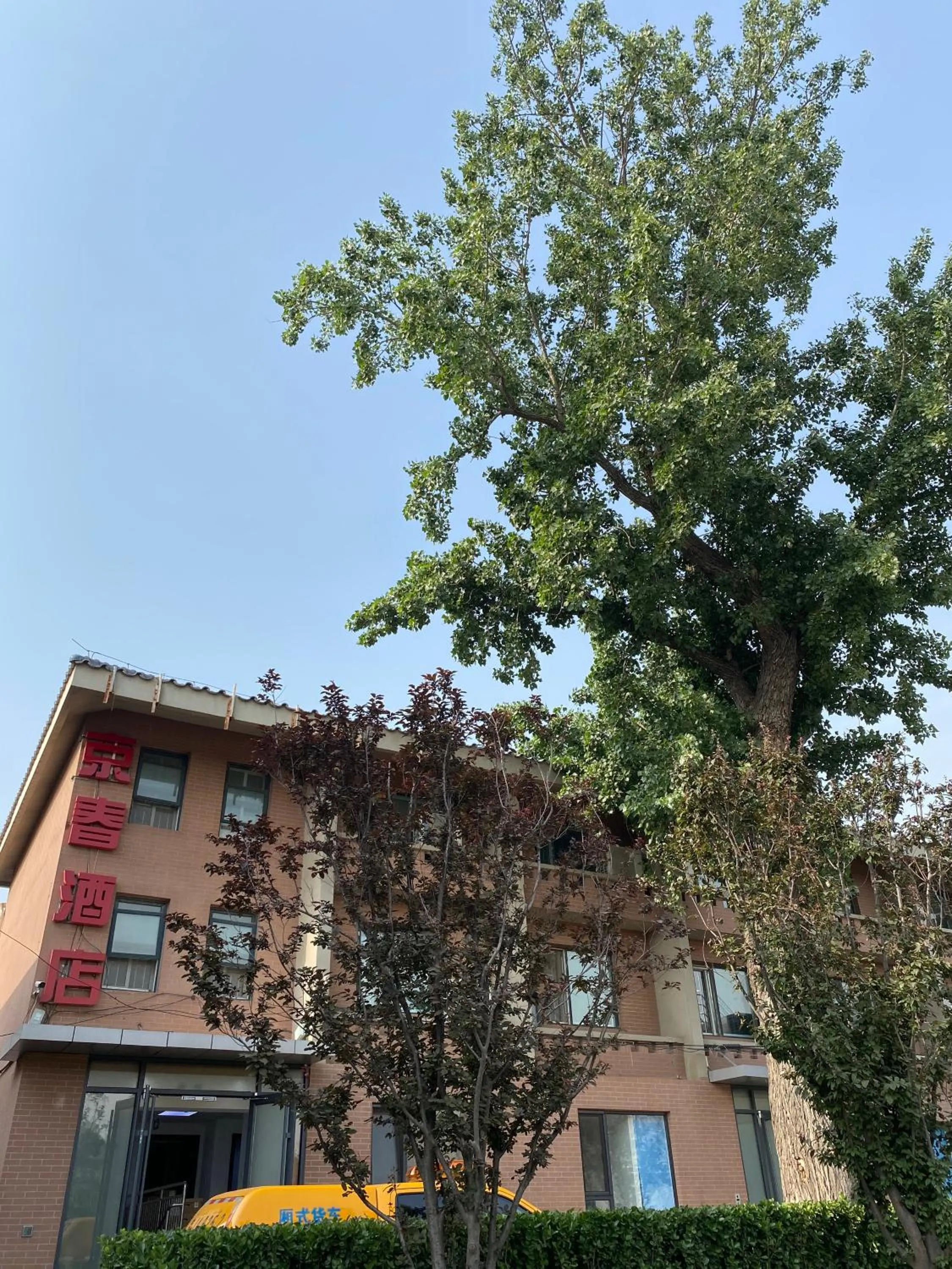 Spring Time Hostel--Nearby Tiananmen square & Forbidden City & Wangfujing Street & Line 5,6 Subway Nearby,Free WiFi