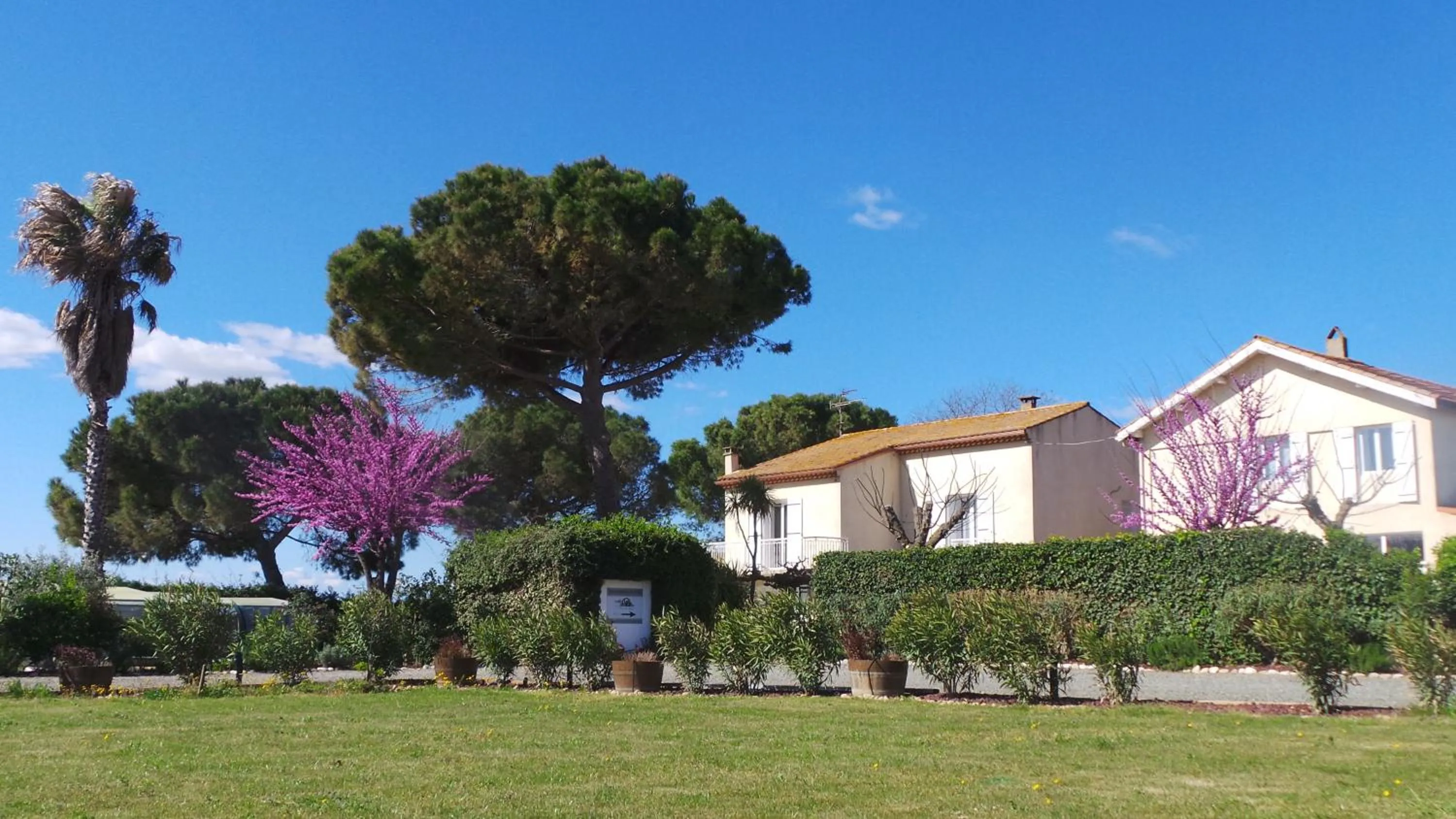 A l'Orée Des Vignes