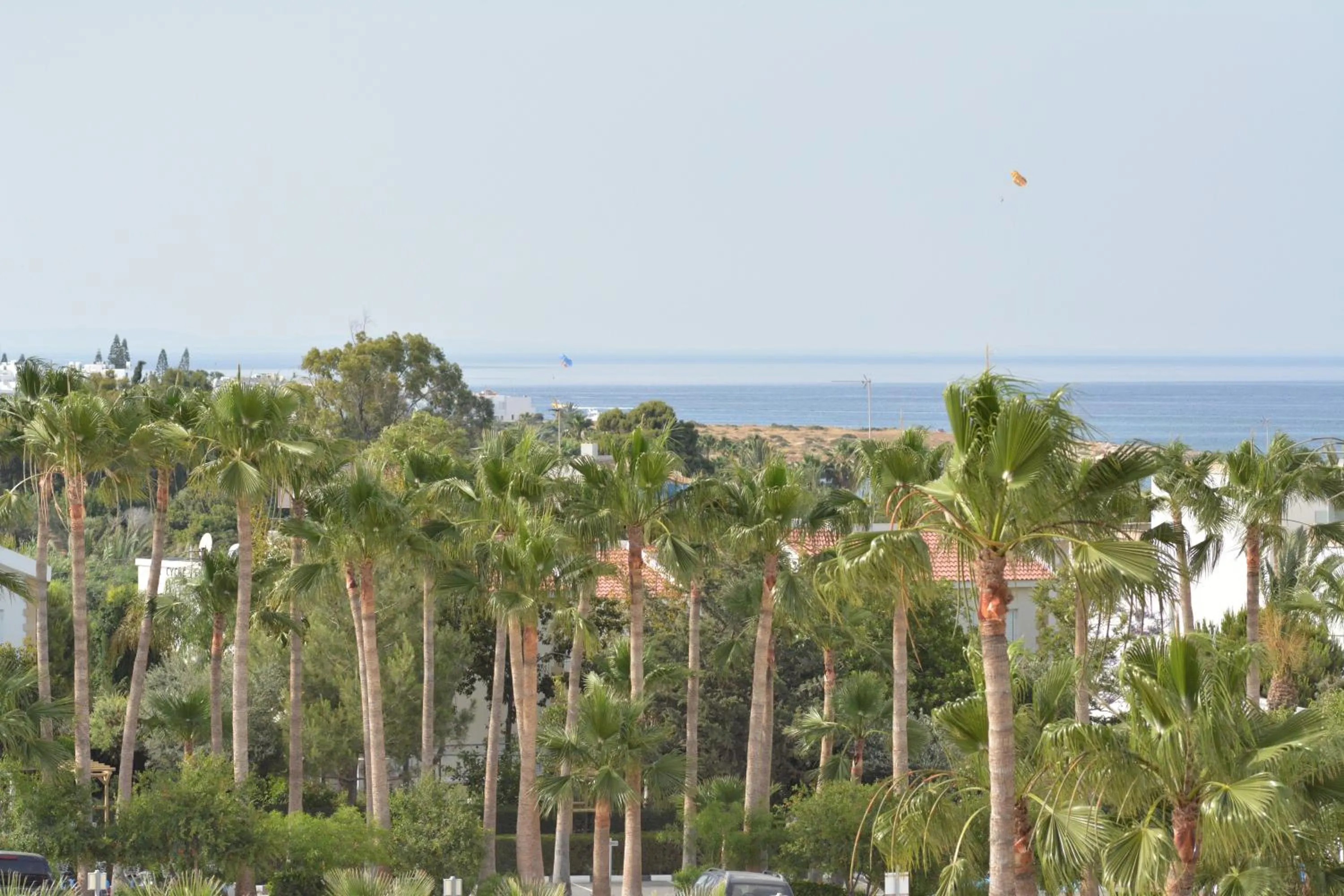 Natural landscape in Proteas Mare Suites