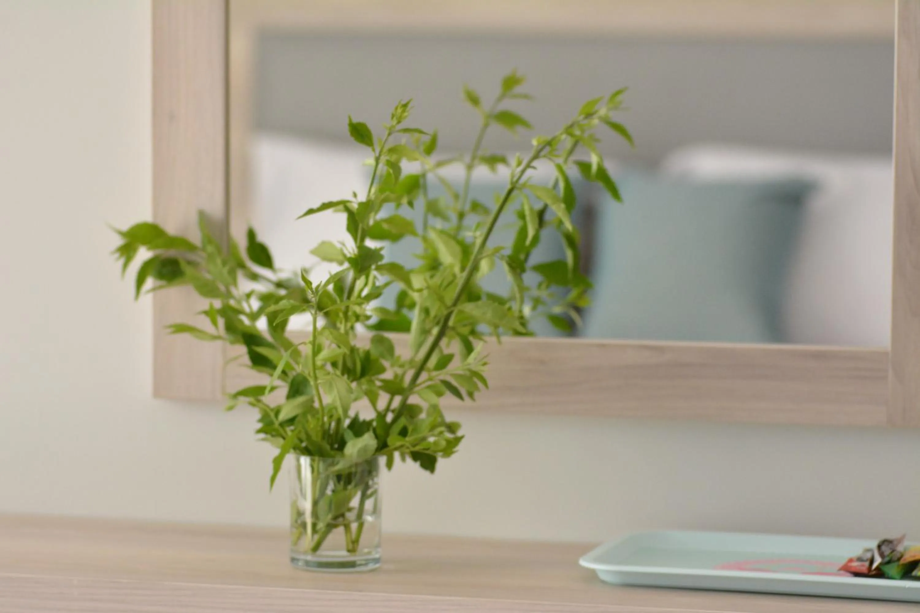 Natural landscape in Proteas Mare Suites