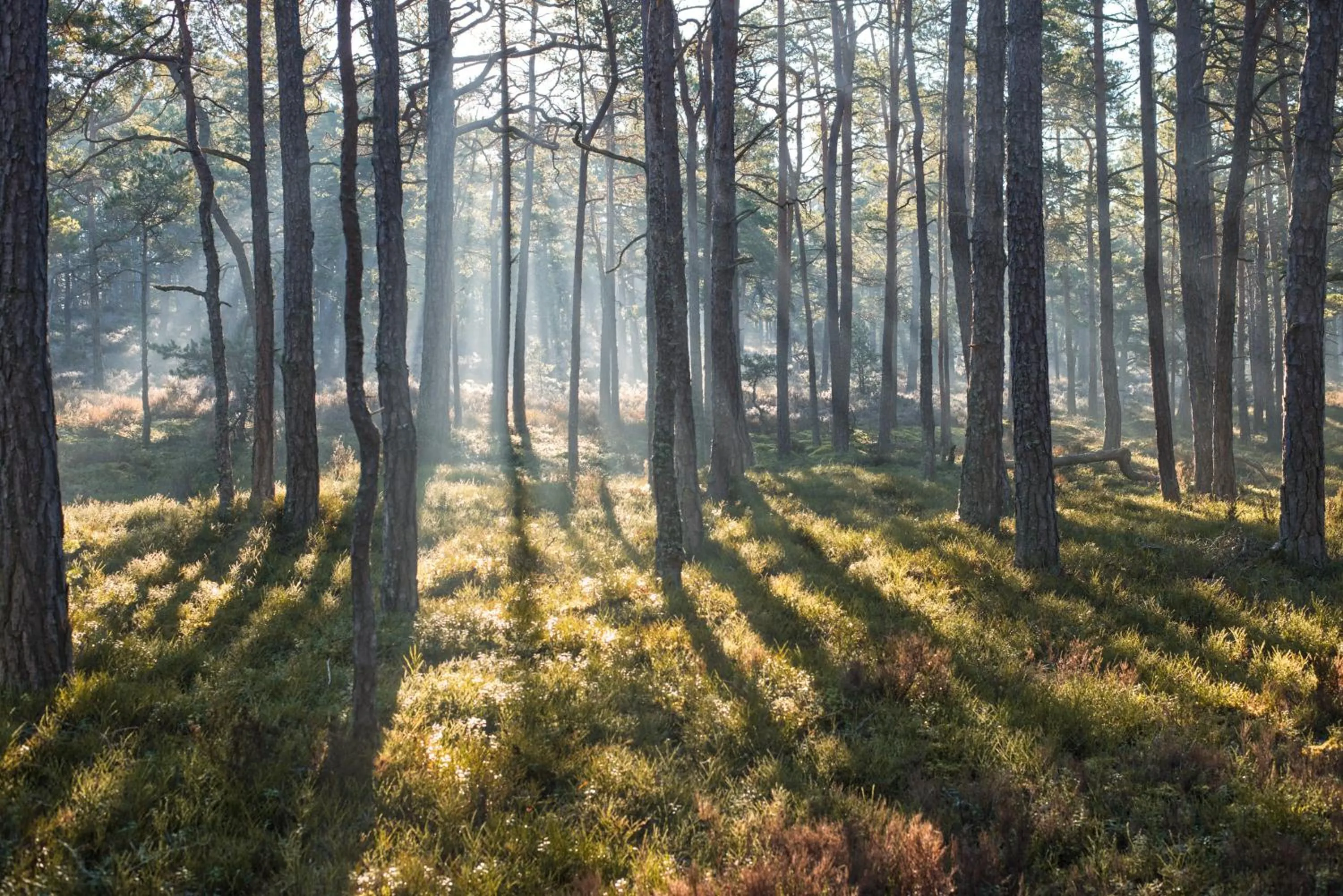 Day in Sandhamn Seglarhotell