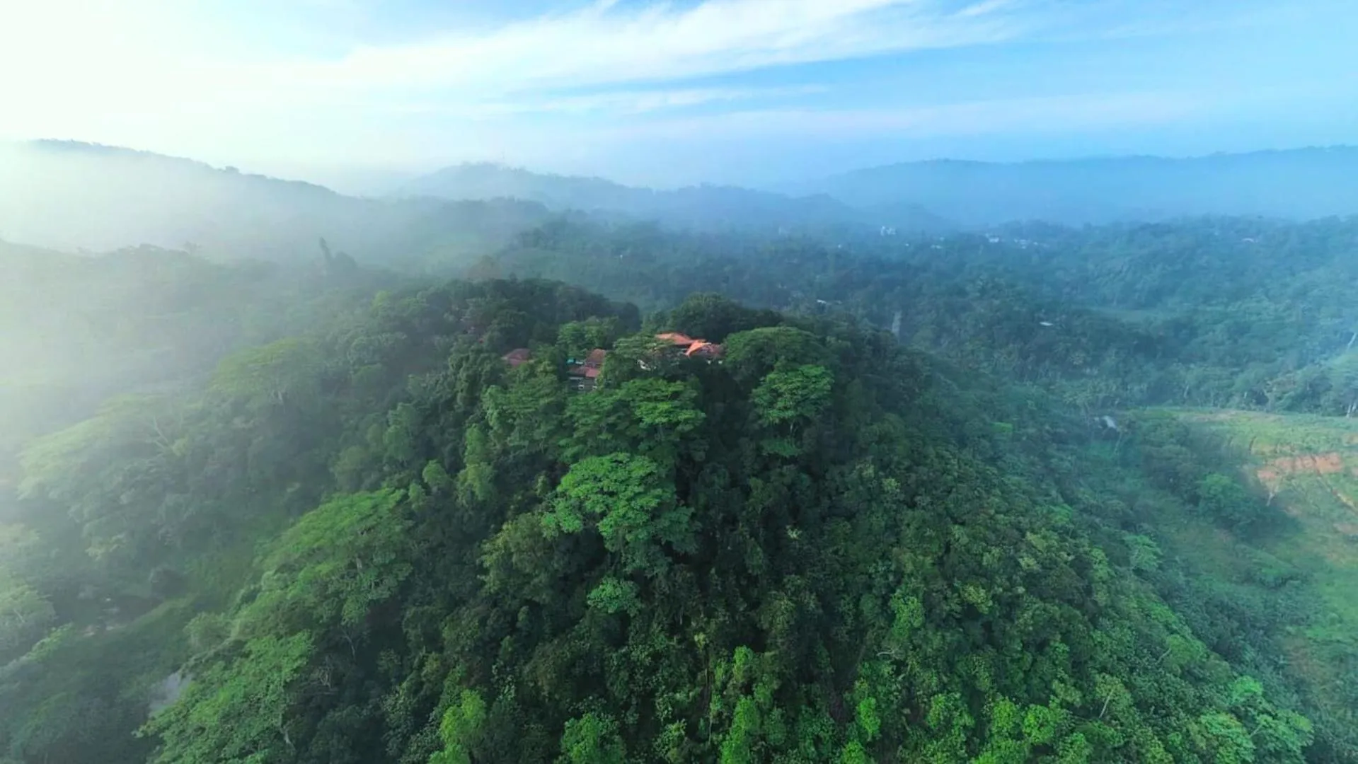 Property building in Tree of Life Nature Resort