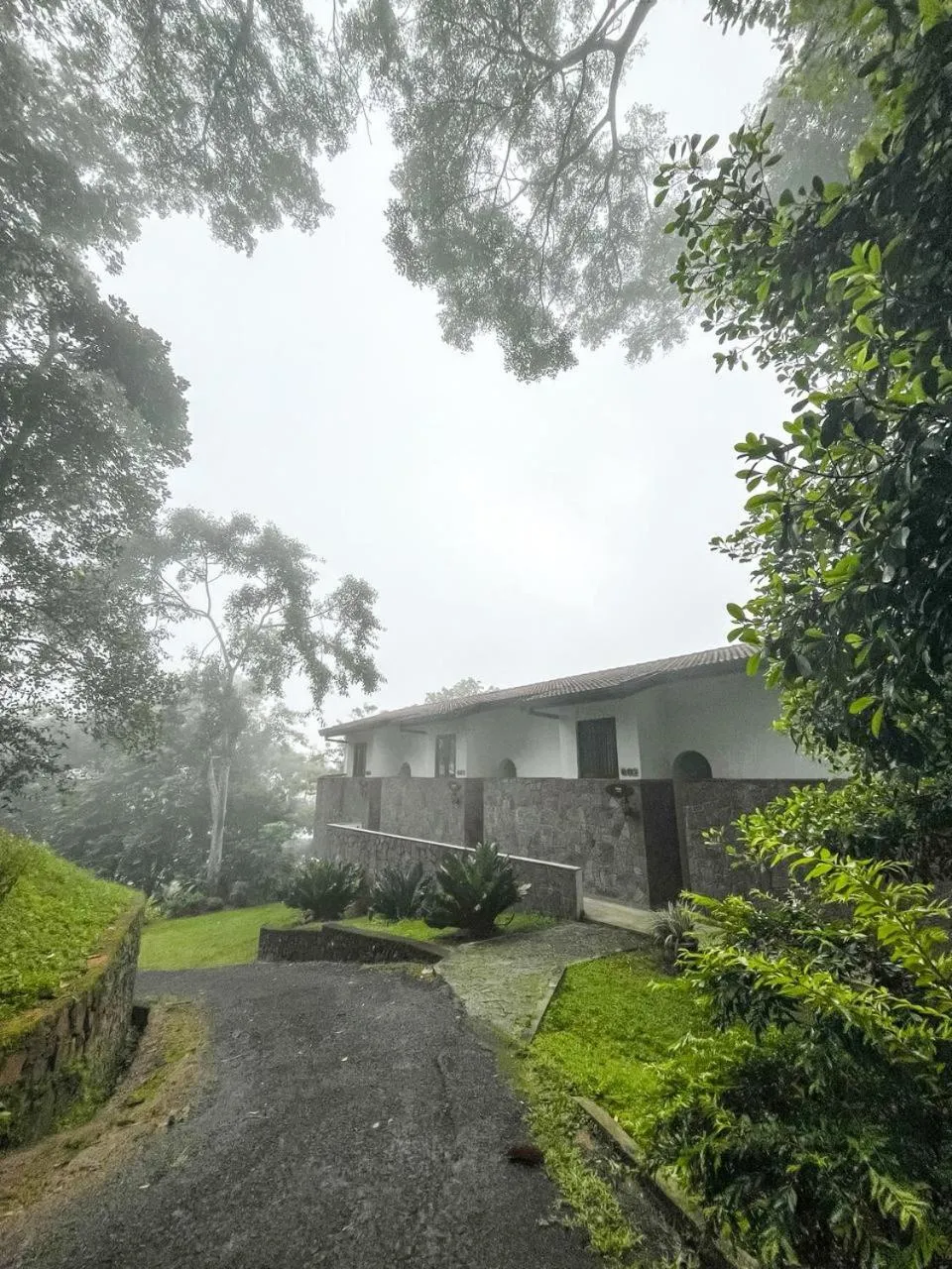 Day in Tree of Life Nature Resort