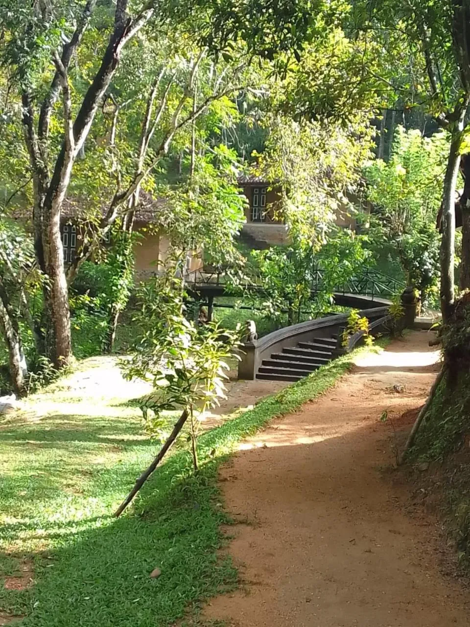 Day in Tree of Life Nature Resort