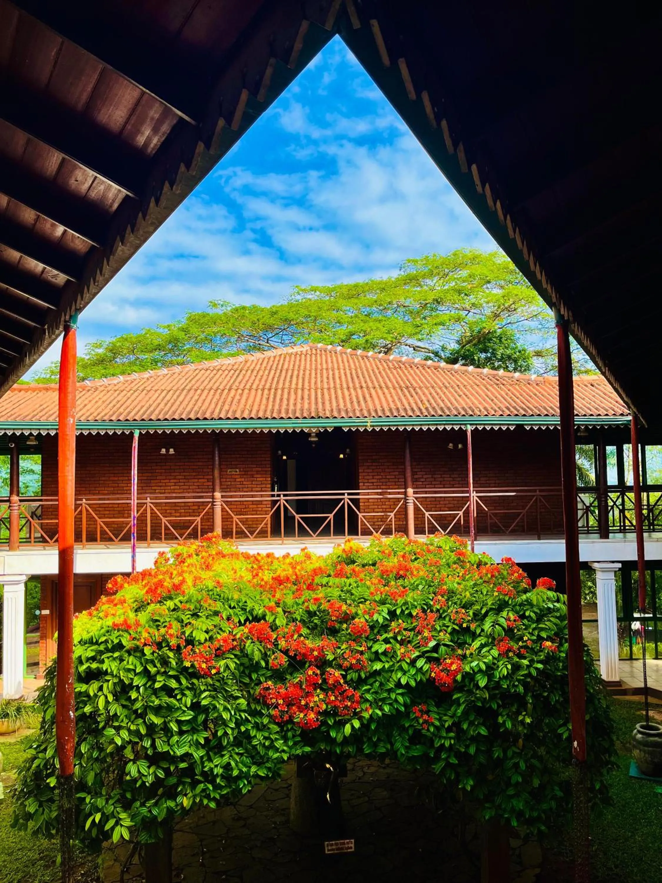 Day in Tree of Life Nature Resort