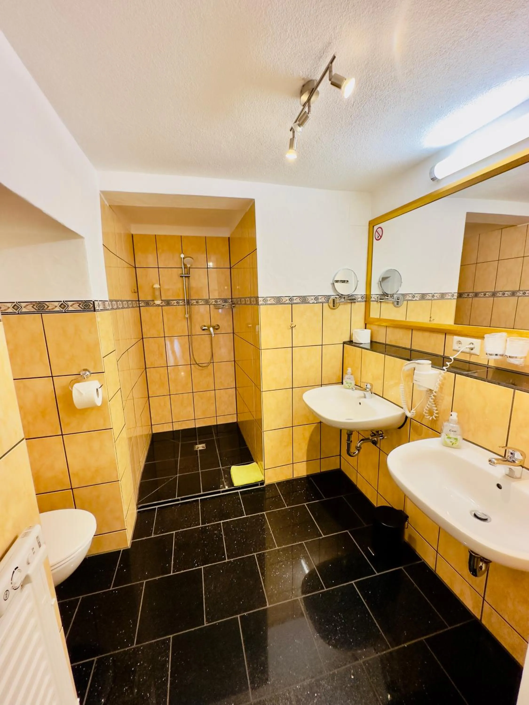 Europa Pension zum Grünen Baum