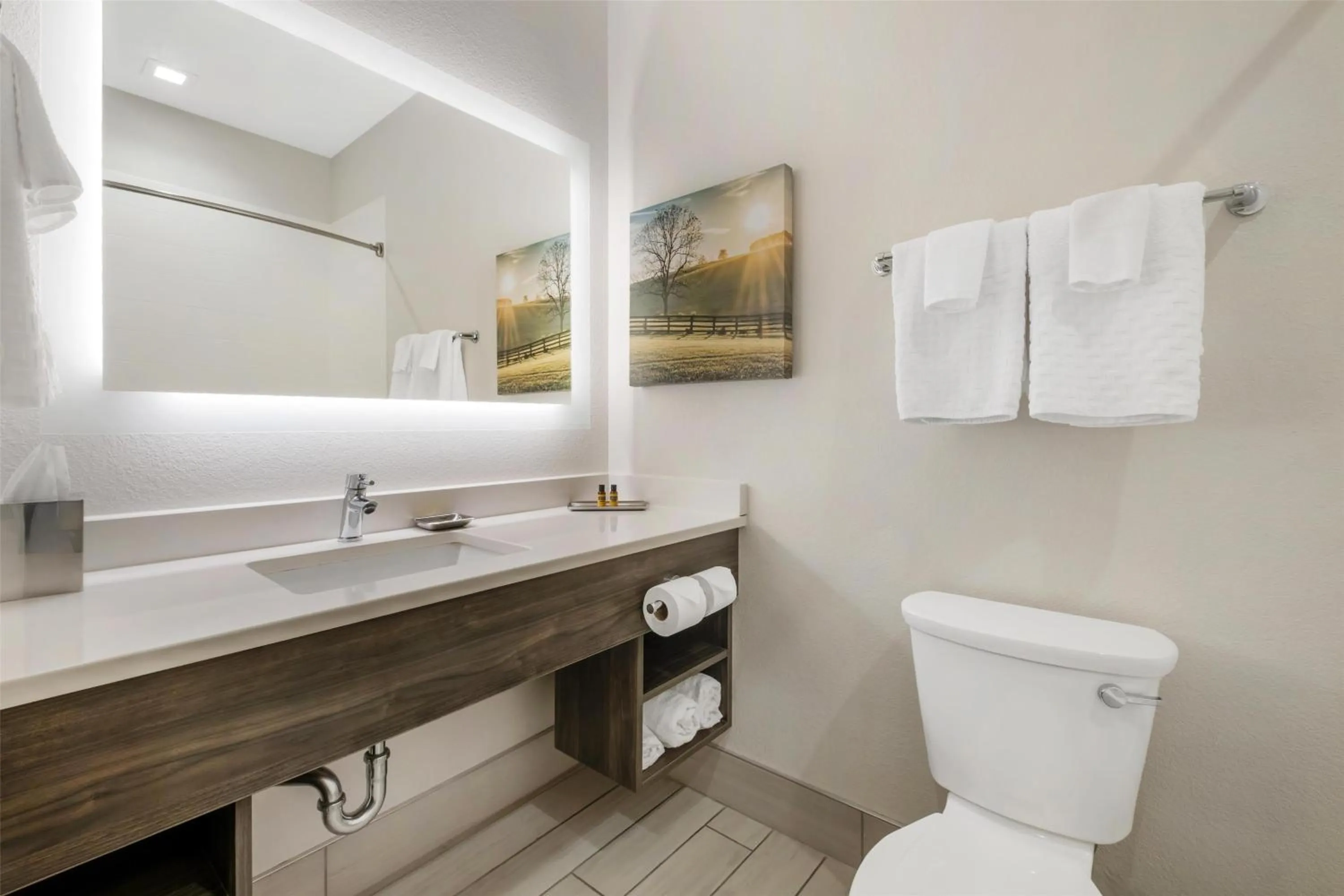 Bathroom in Best Western Plus Elizabethtown Inn & Suites