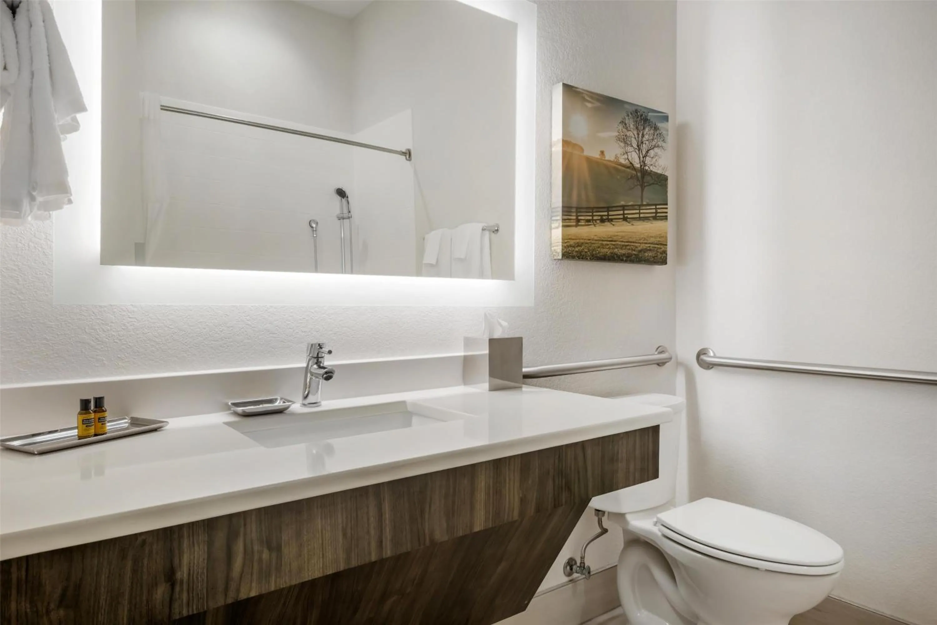 Bathroom in Best Western Plus Elizabethtown Inn & Suites