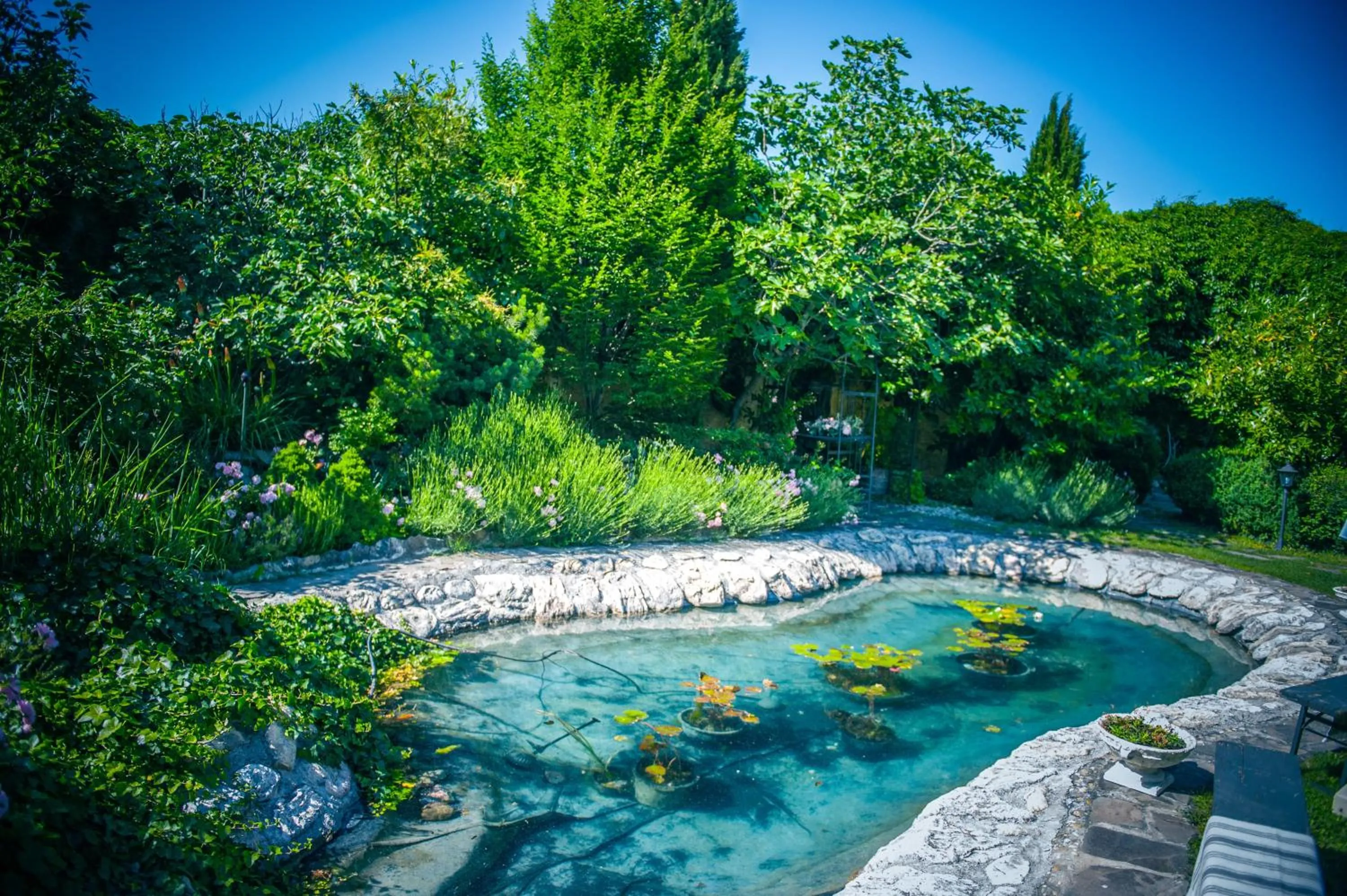 Garden in Art Boutique Hotel Bürgerhaus