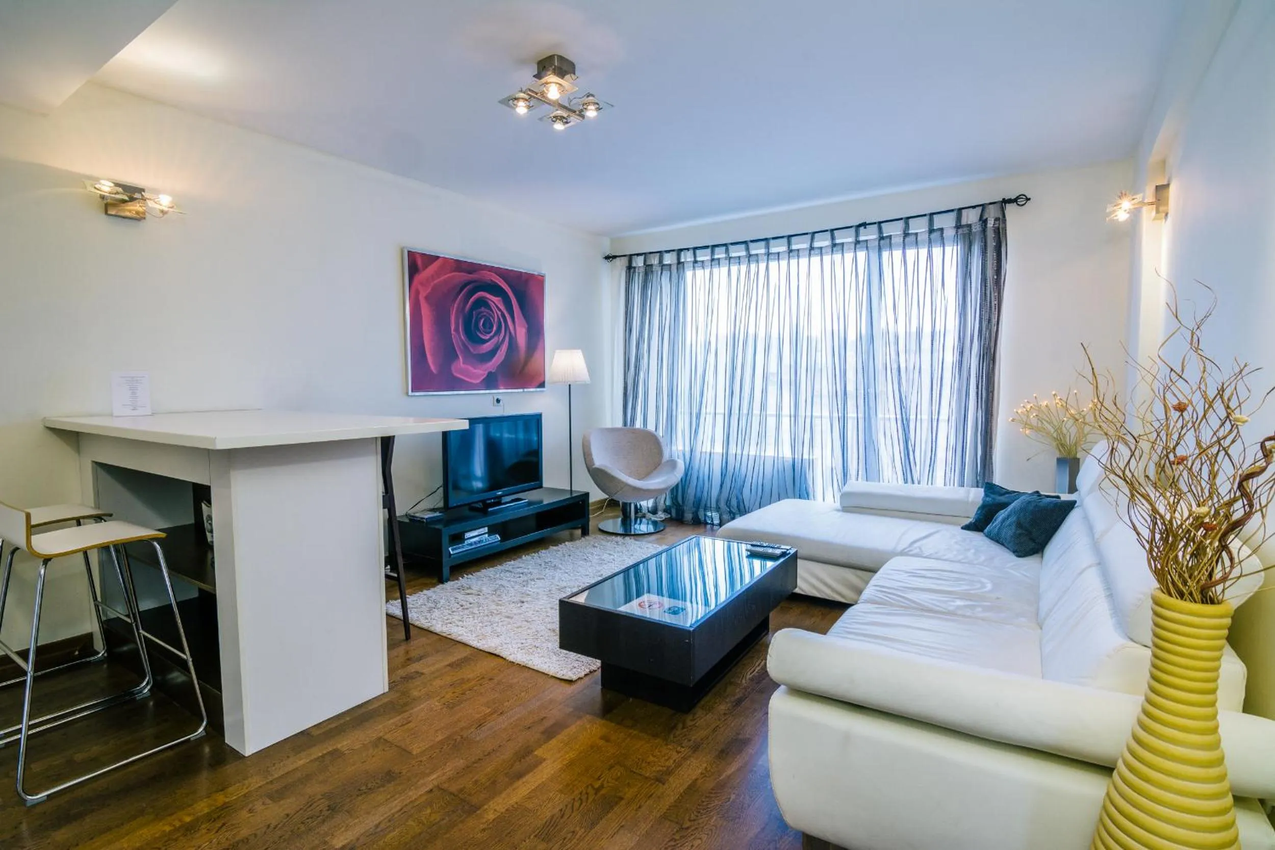 Living room in Luxury Downtown Apartments