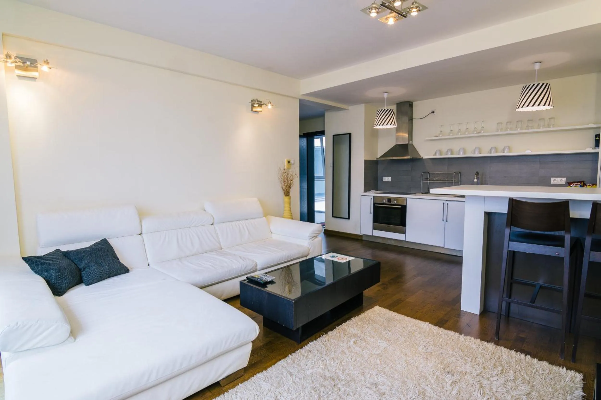 Living room in Luxury Downtown Apartments