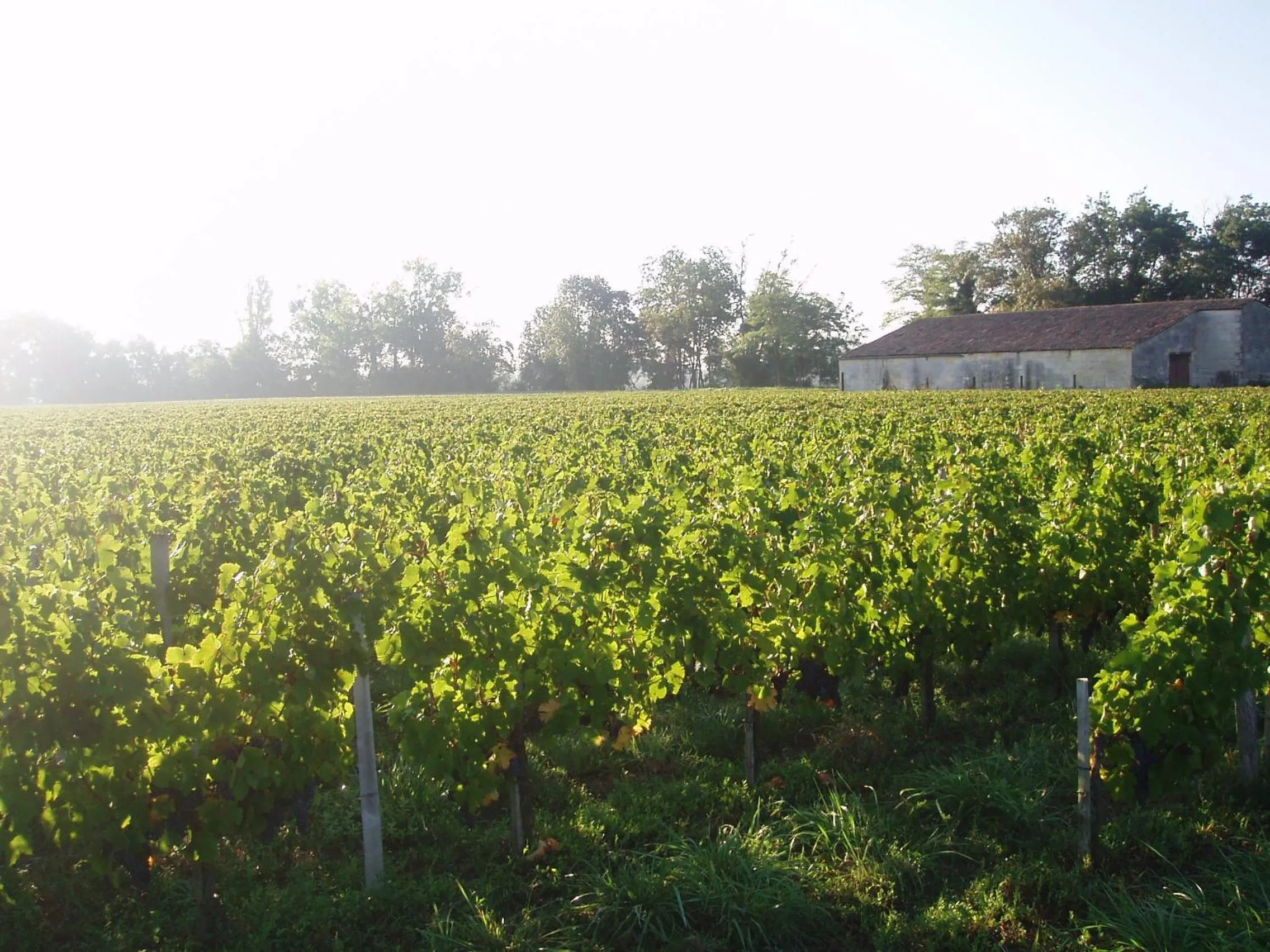 Other in Chateau de la Vieille Chapelle