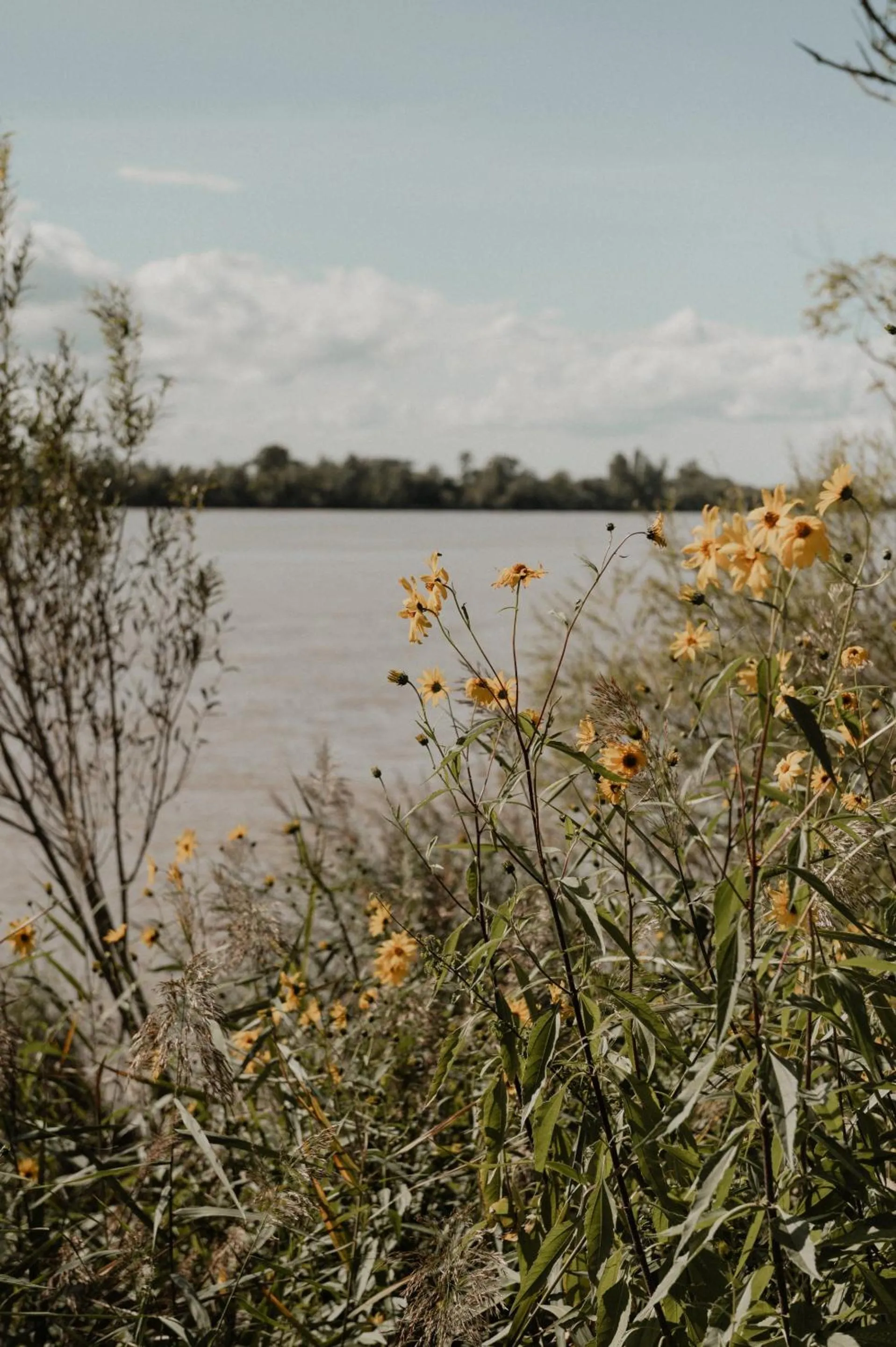 Neighbourhood in Chateau de la Vieille Chapelle