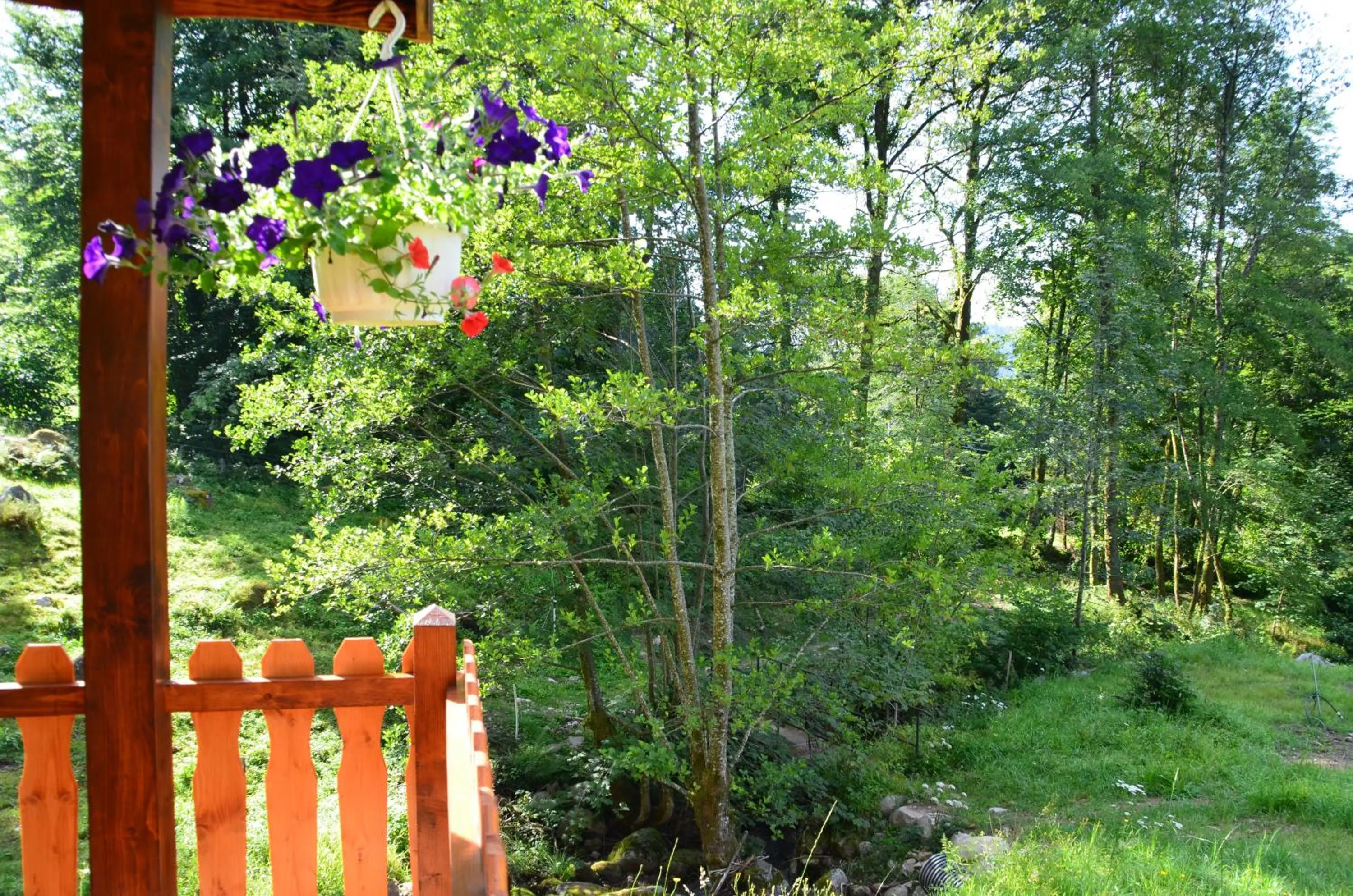 View (from property/room) in Le Domaine du Châtelet