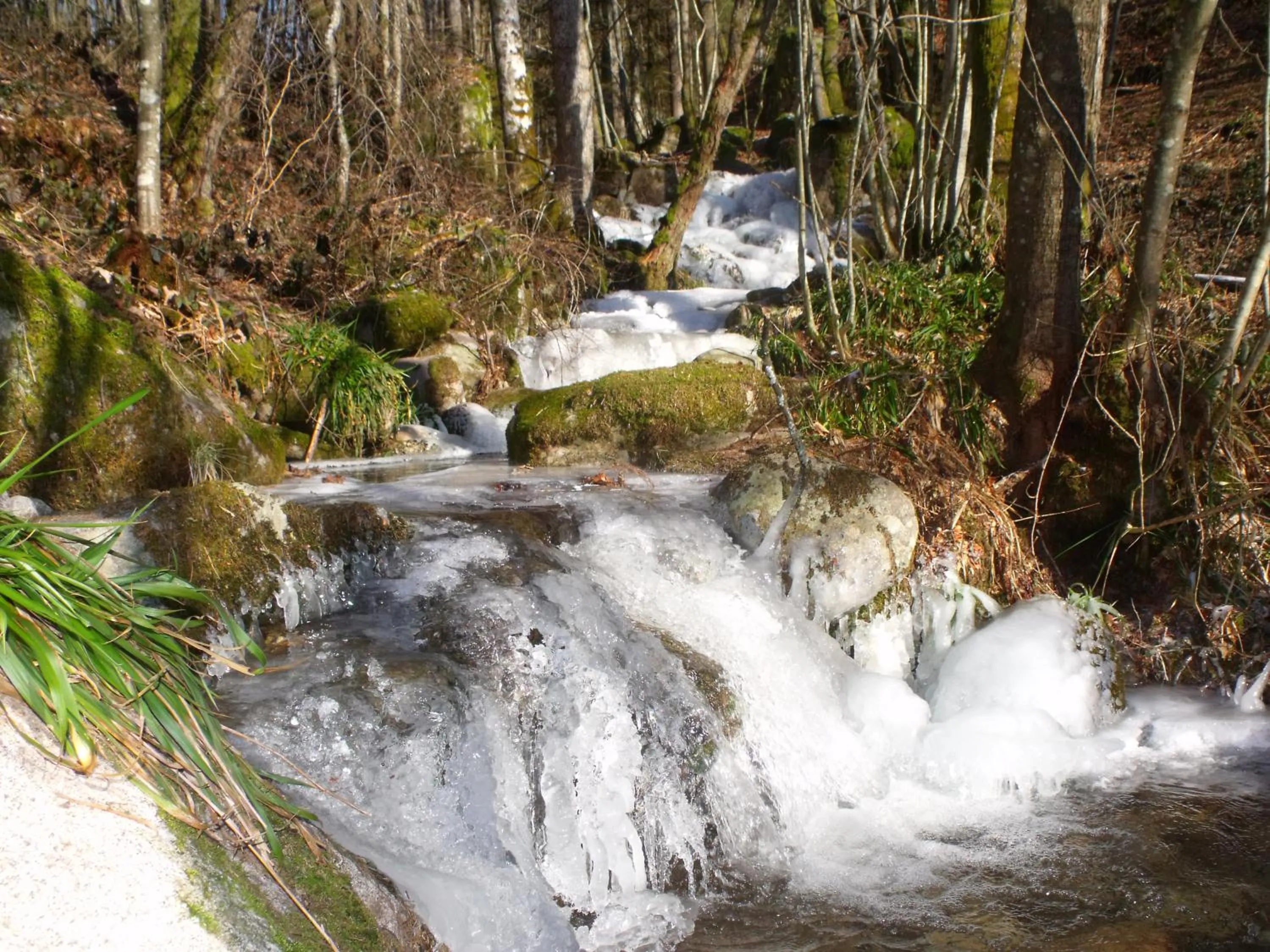 Natural landscape in Le Domaine du Châtelet