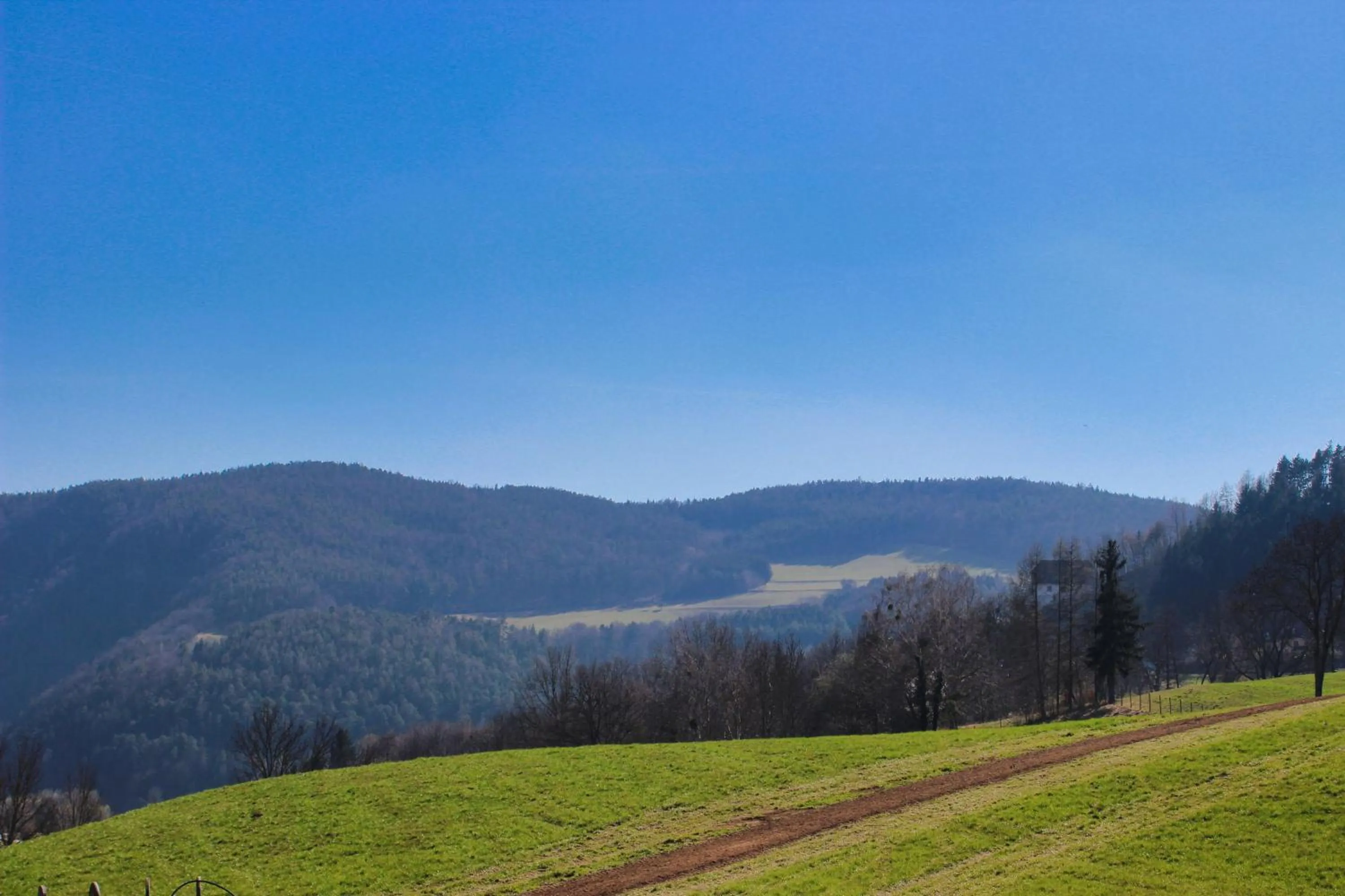 Natural landscape in Tiefala's Eck