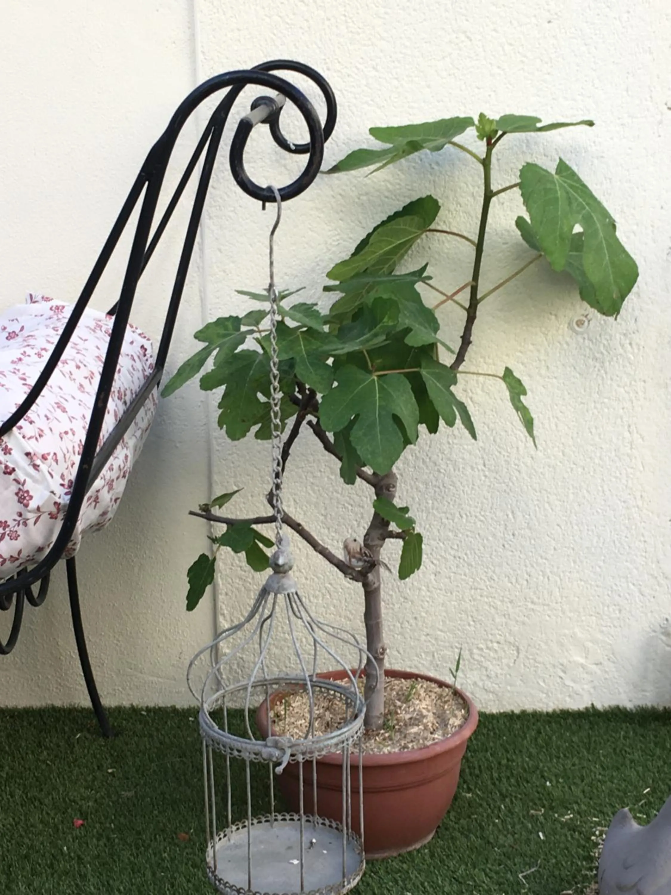 Ô 36 Rempart Sud B&B