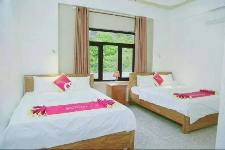 Starlet Hotel Phong Nha Starlet Hotel Phong Nha